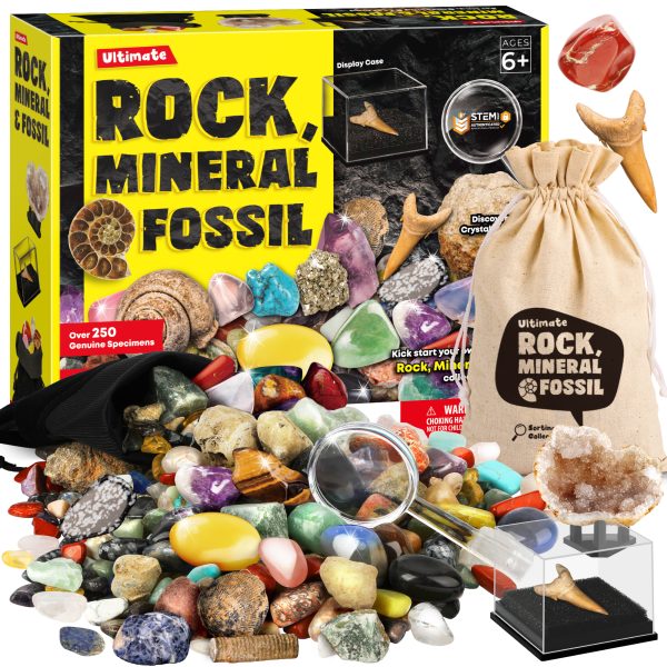 250 Stones Set with Different Gemstones, Fossils, Crystals, Minerals, Geodes for Children, Gemstone Collection