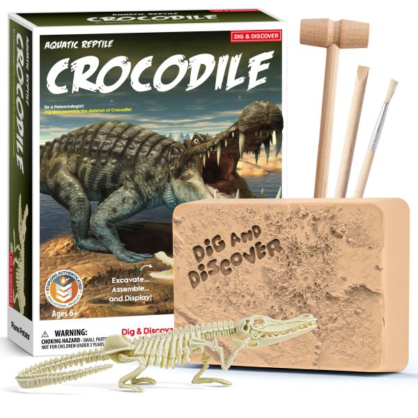 Crocodile Skeleton Excavation Kit, STEM Educational Excavation Toy