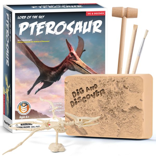 Educational Dinosaur Excavation & Assembly Dig Kit - Includes Archaeology Tools & pterosaur Fossil Model