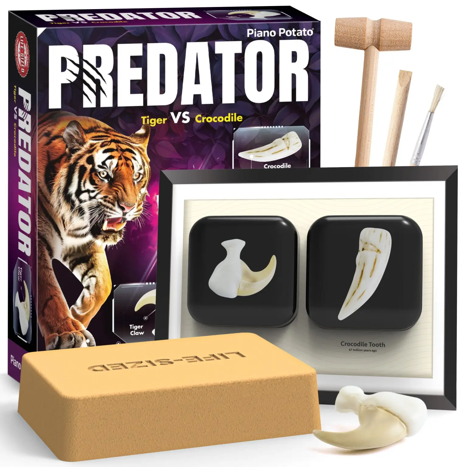 Predator Fossil Dig Kit with tiger and crocodile fossil replicas