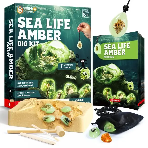 Amber Dig Kit with 6 Glow Sea Life Resin Fossils + Natural Amber, Excavation Set for Ages 6 to 12