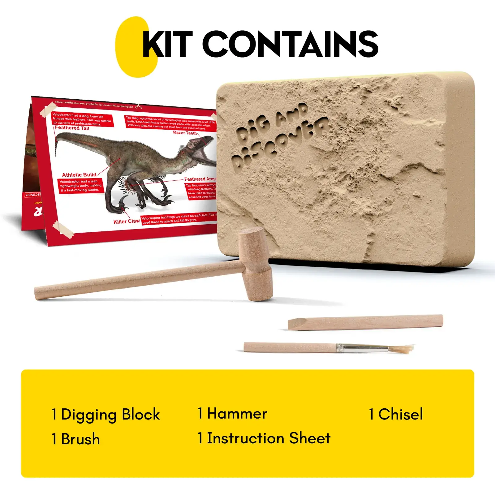 Kit contents showing one digging block, hammer, chisel, brush and illustrated instruction sheet