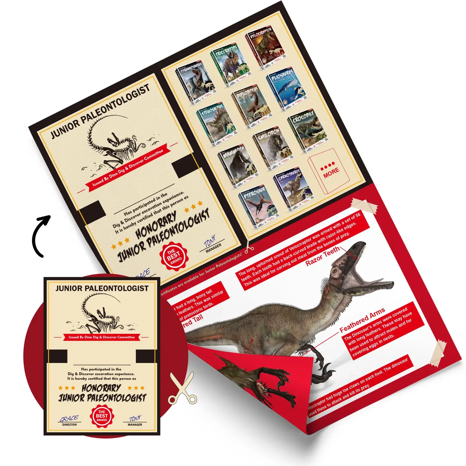 Illustrated dinosaur learning sheet and junior paleontologist activity certificate