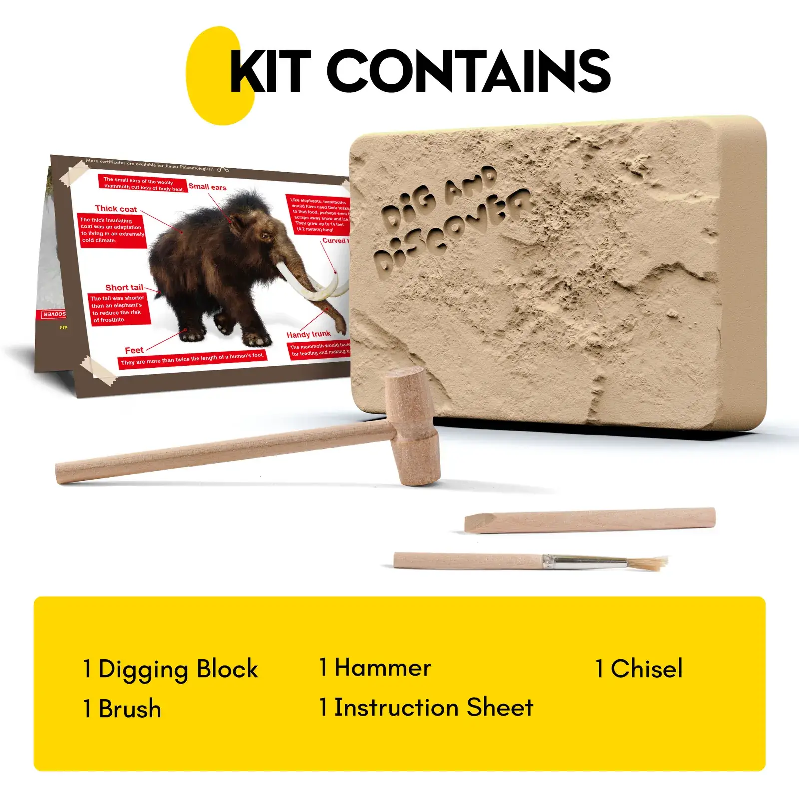 Woolly Mammoth Skeleton Dig Kit box contents with excavation block, three tools, 10 numbered parts, instruction sheet, and certificate