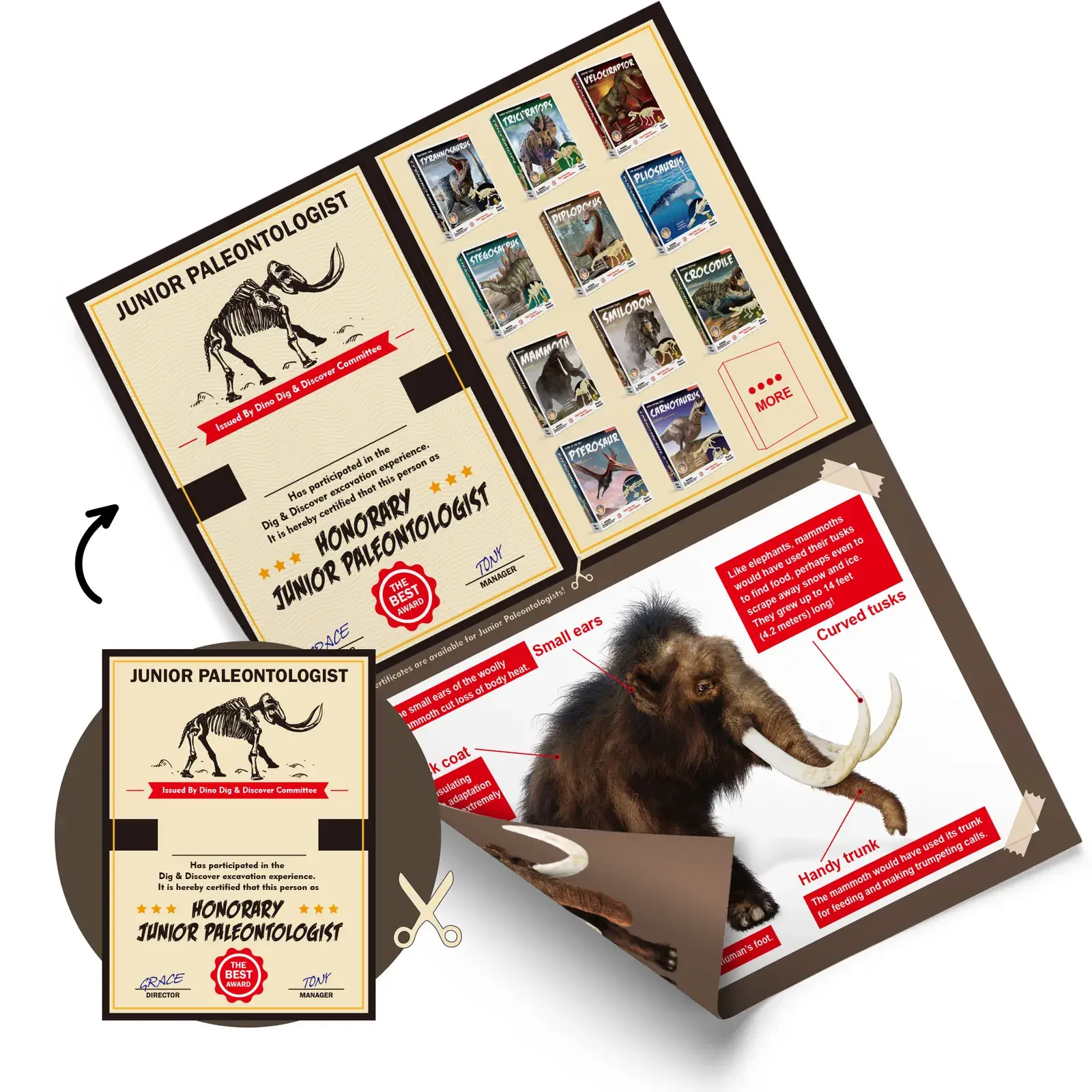 Fold-out woolly mammoth guide with assembly pictures and Ice Age facts