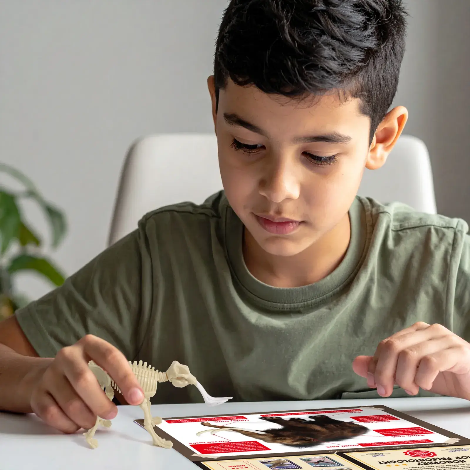 Woolly Mammoth Skeleton Dig Kit – Excavate 10 Parts, Assemble & Display (Ages 6+) - Image 7