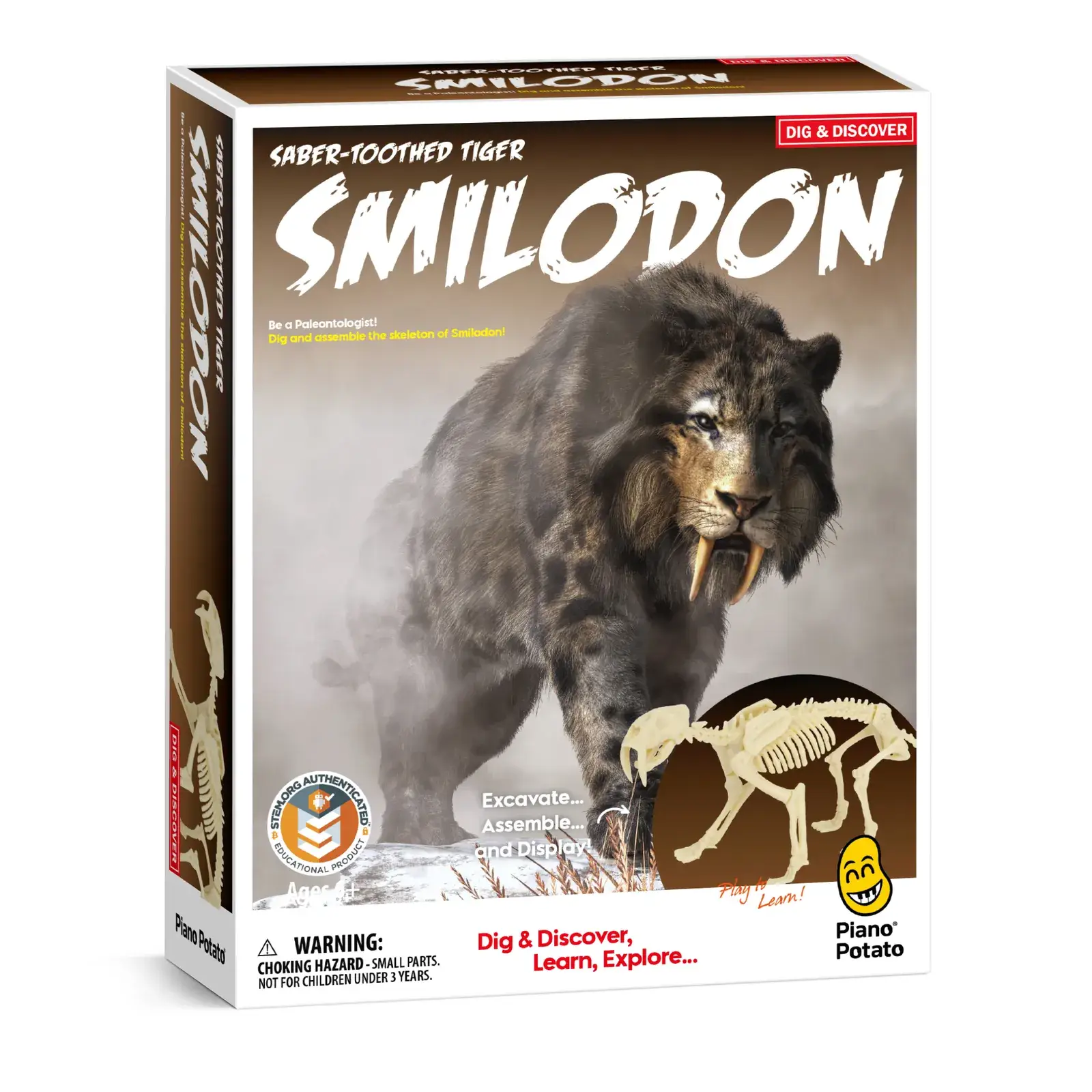 Smilodon Saber-Toothed Tiger Dig Kit for Kids - STEM Paleontology Toy, Excavate & Assemble Skeleton - Image 2
