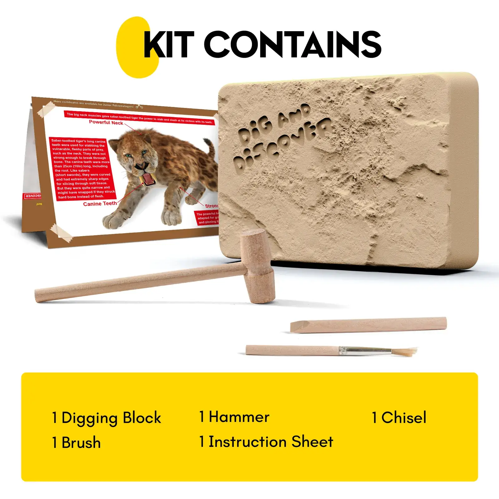 Smilodon Saber-Toothed Tiger Dig Kit for Kids - STEM Paleontology Toy, Excavate & Assemble Skeleton - Image 5