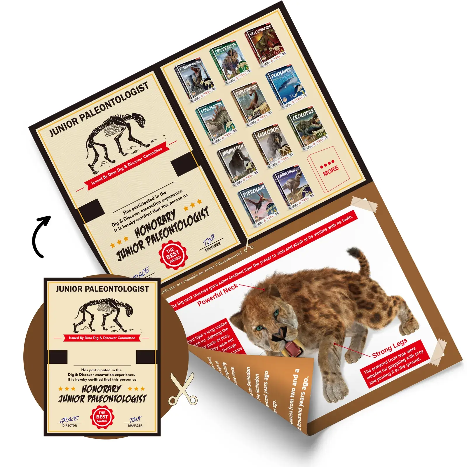 Smilodon Saber-Toothed Tiger Dig Kit for Kids - STEM Paleontology Toy, Excavate & Assemble Skeleton - Image 6