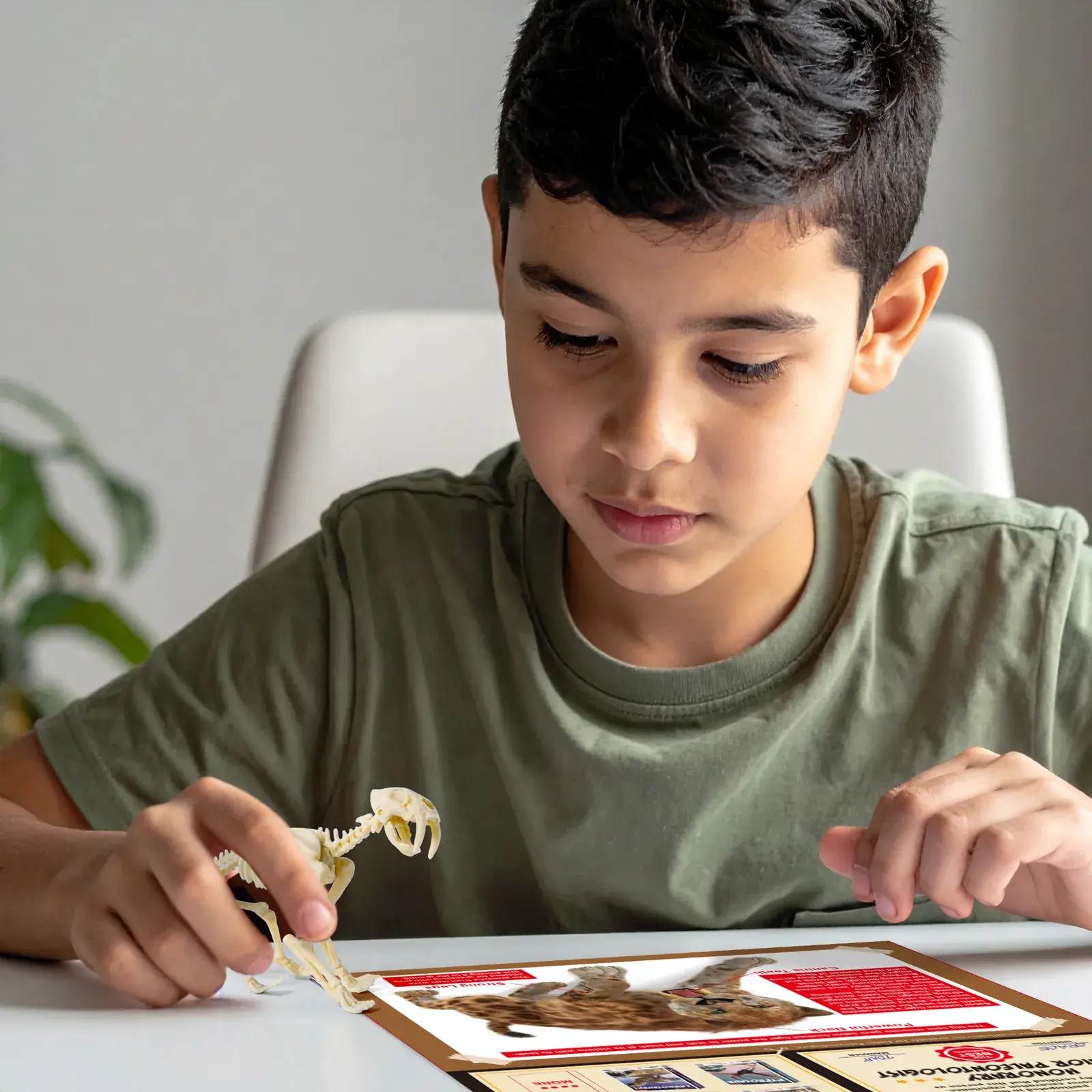 Smilodon Saber-Toothed Tiger Dig Kit for Kids - STEM Paleontology Toy, Excavate & Assemble Skeleton - Image 7