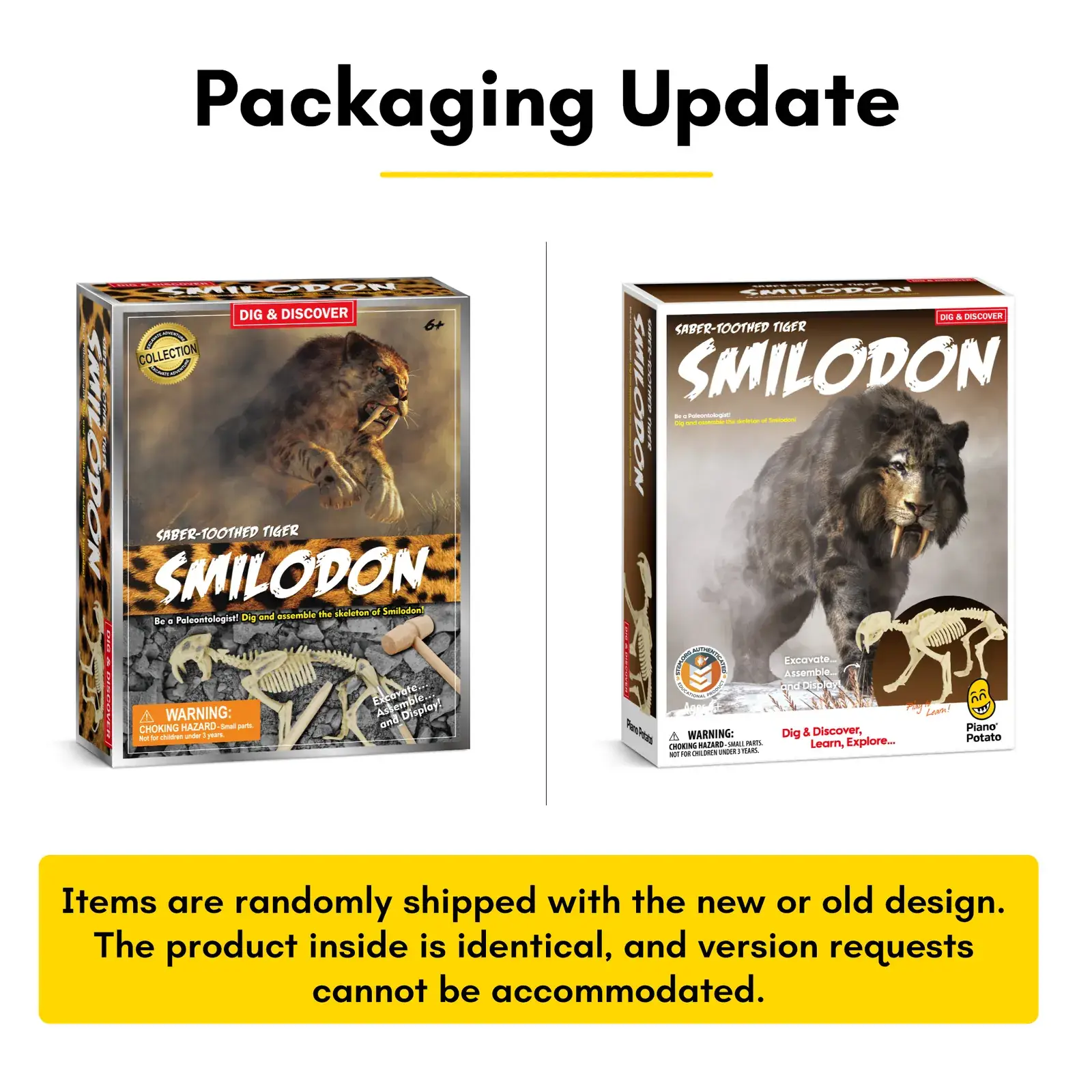 Smilodon Saber-Toothed Tiger Dig Kit for Kids - STEM Paleontology Toy, Excavate & Assemble Skeleton - Image 9
