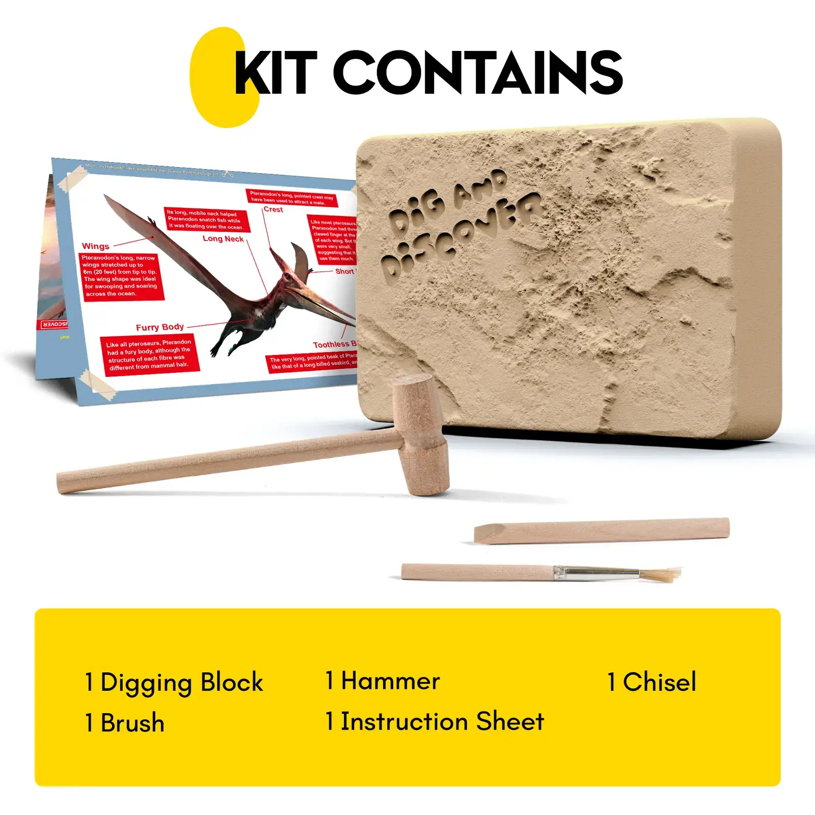 Pterosaur Skeleton Dig Kit contents: digging block, hammer, chisel, brush, and fold-out instruction sheet