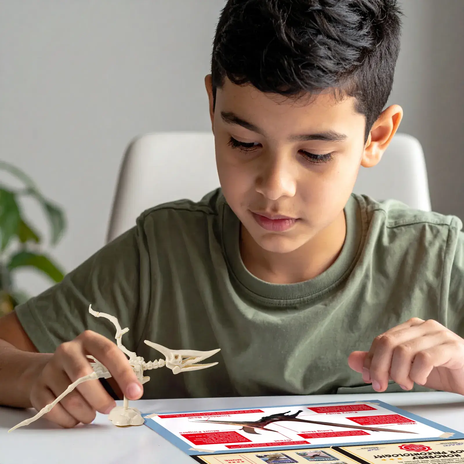 Child examining the assembled Pterosaur skeleton model beside the fold-out instruction sheet