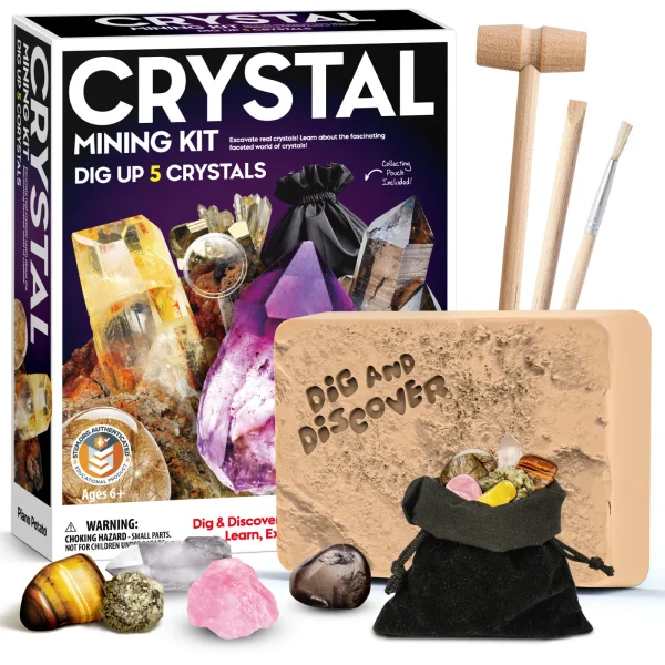 Crystal & Gemstone Dig Kit – 5 Specimens, Tools & Collecting Pouch