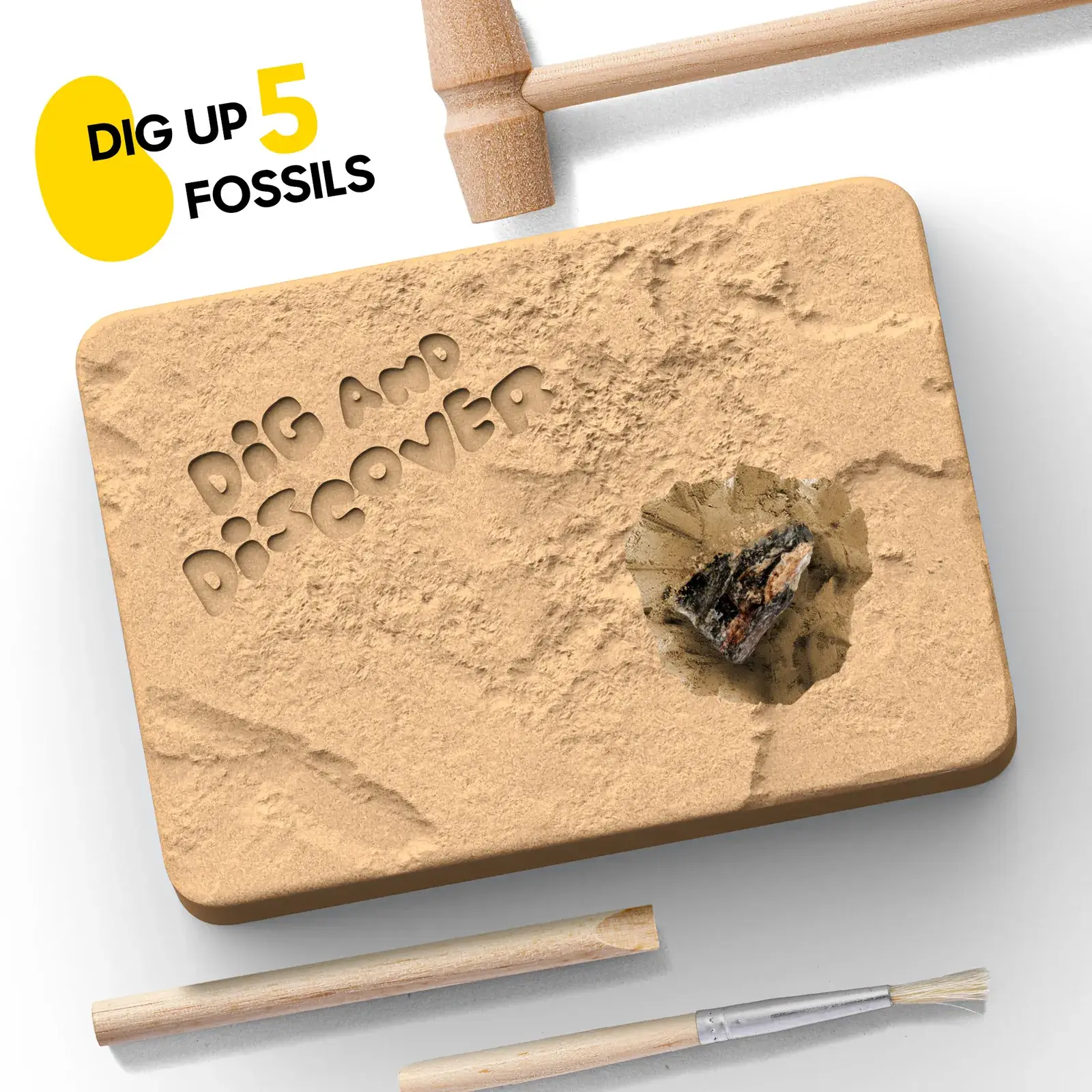 A fossil partly uncovered in the earthen block beside the supplied brush and chisel
