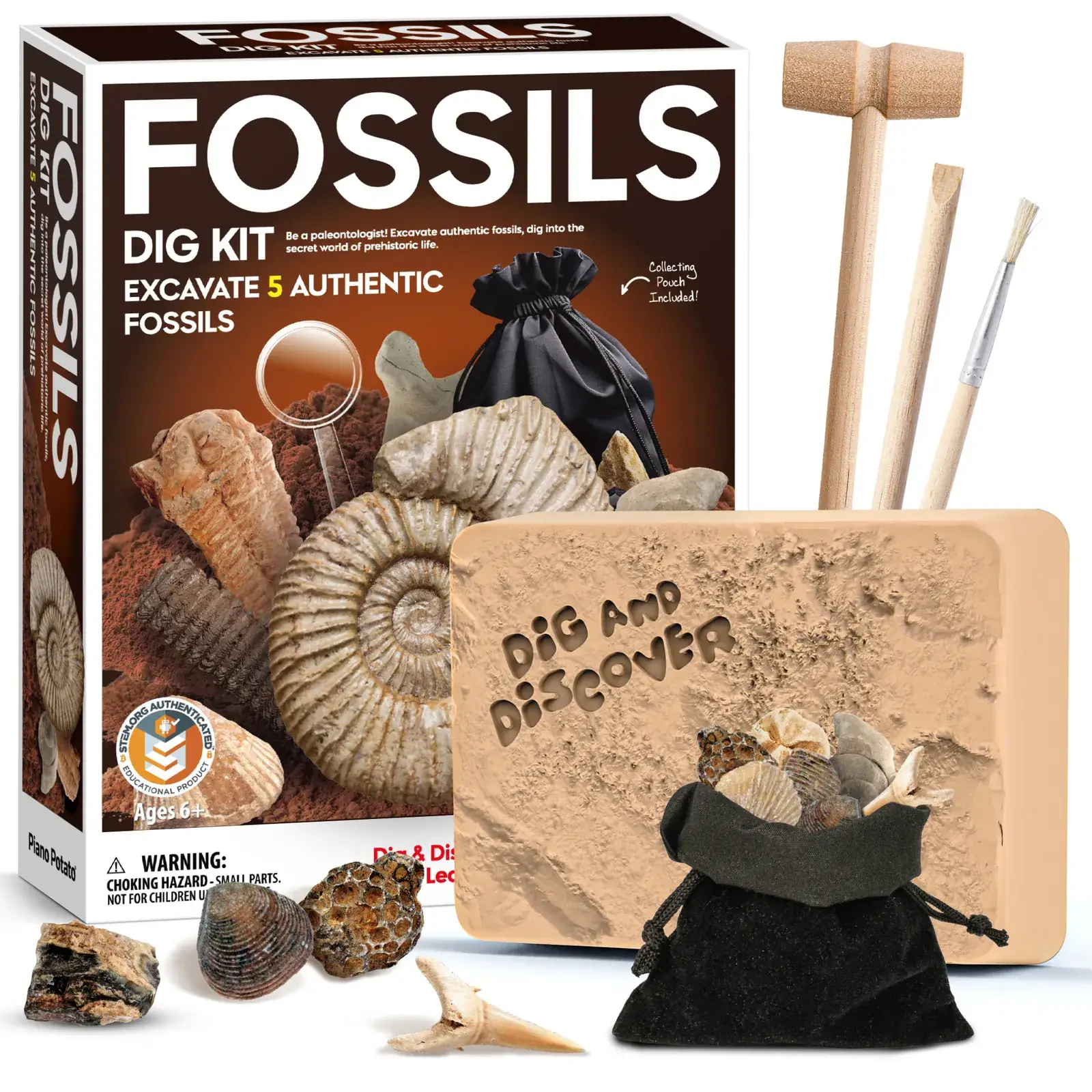 Fossil dig kit with block, digging tools, magnifier, collecting pouch, and specimen examples