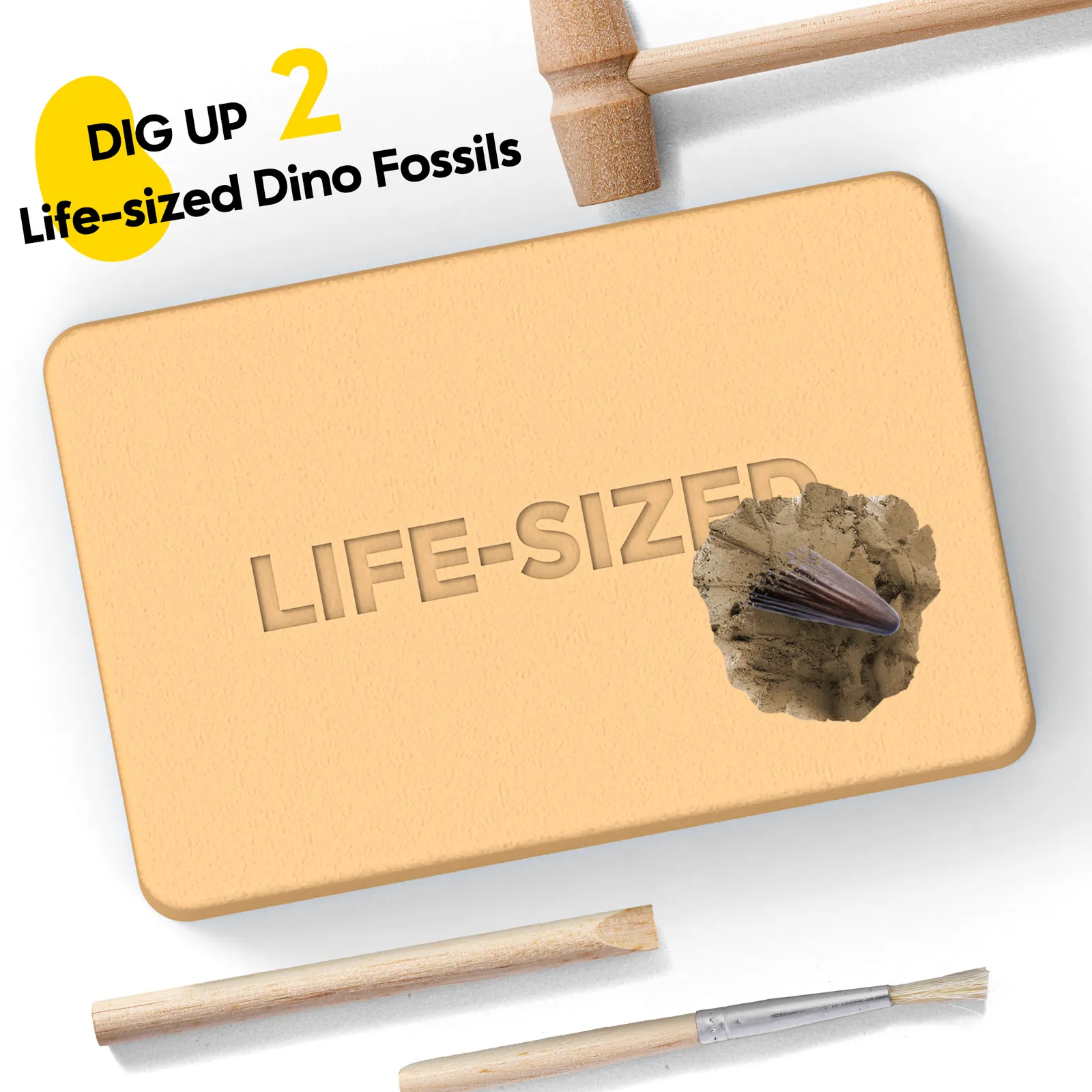 Life-size digging block with wooden hammer, chisel, and brush used to uncover two dinosaur fossil replicas