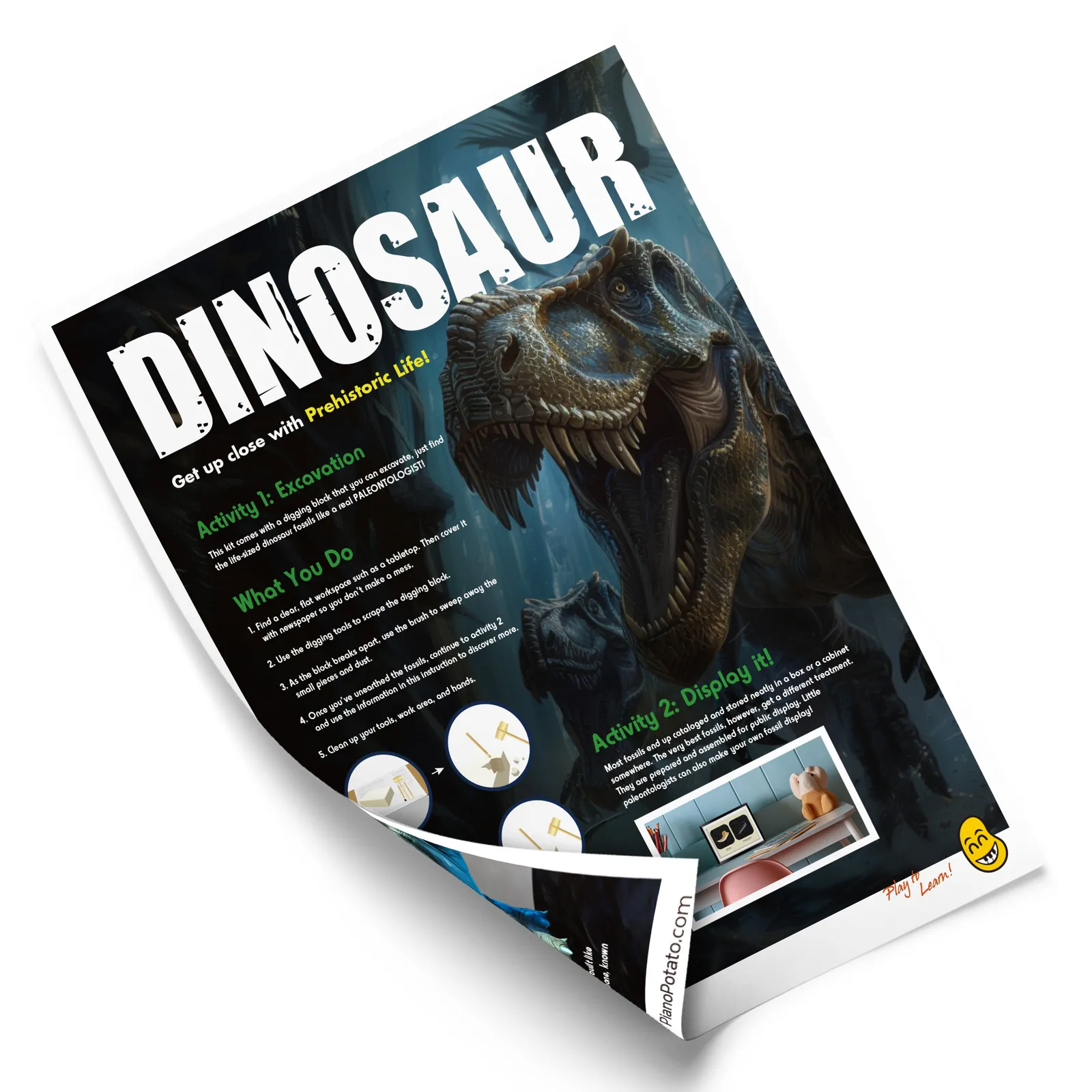 Instruction sheet for the Dinosaur Fossil Dig Kit with excavation and fossil display activities