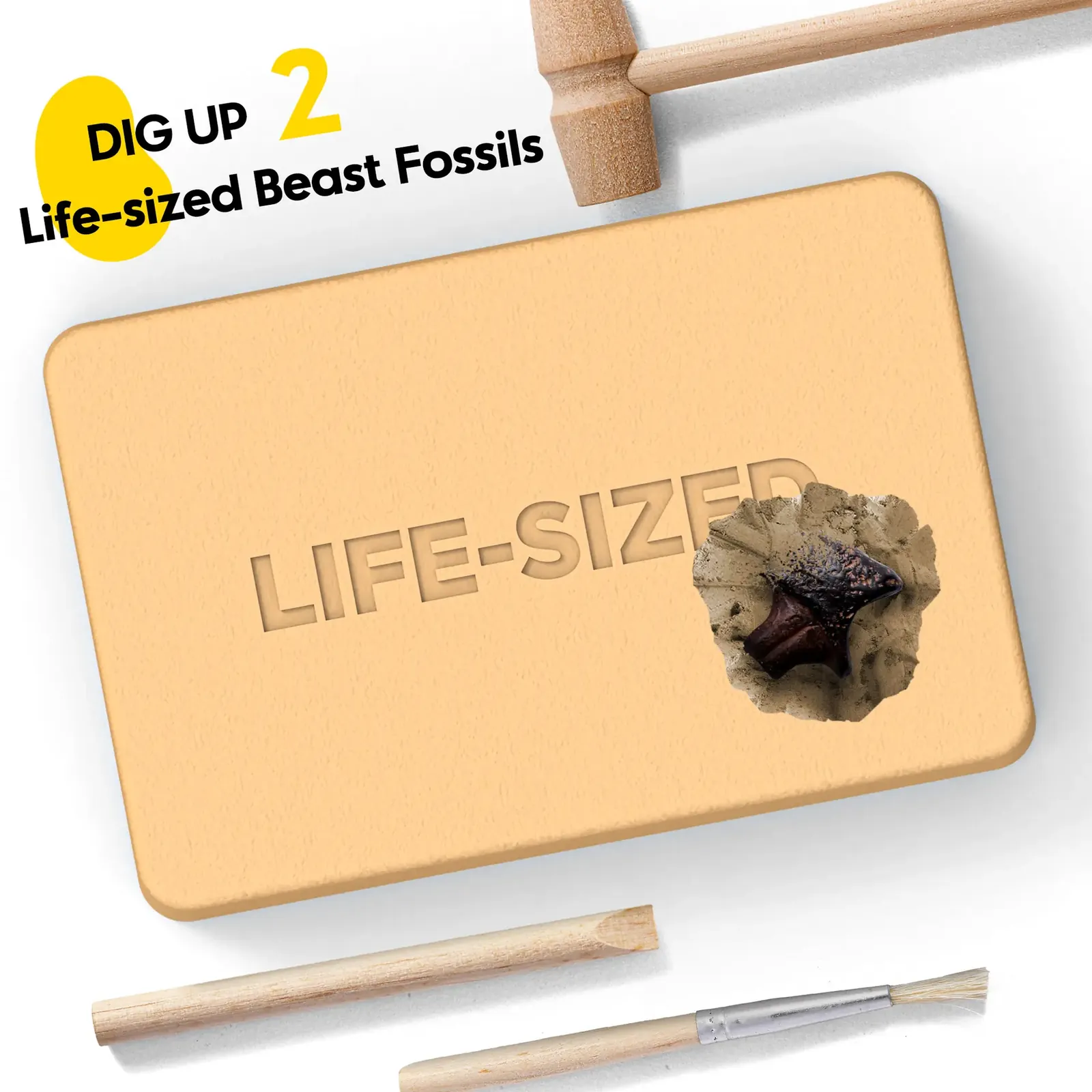 Beast Fossil Dig Kit - Excavate 2 Life-Sized Eagle & Wolf Claw Fossils, Kids STEM Toy - Image 3
