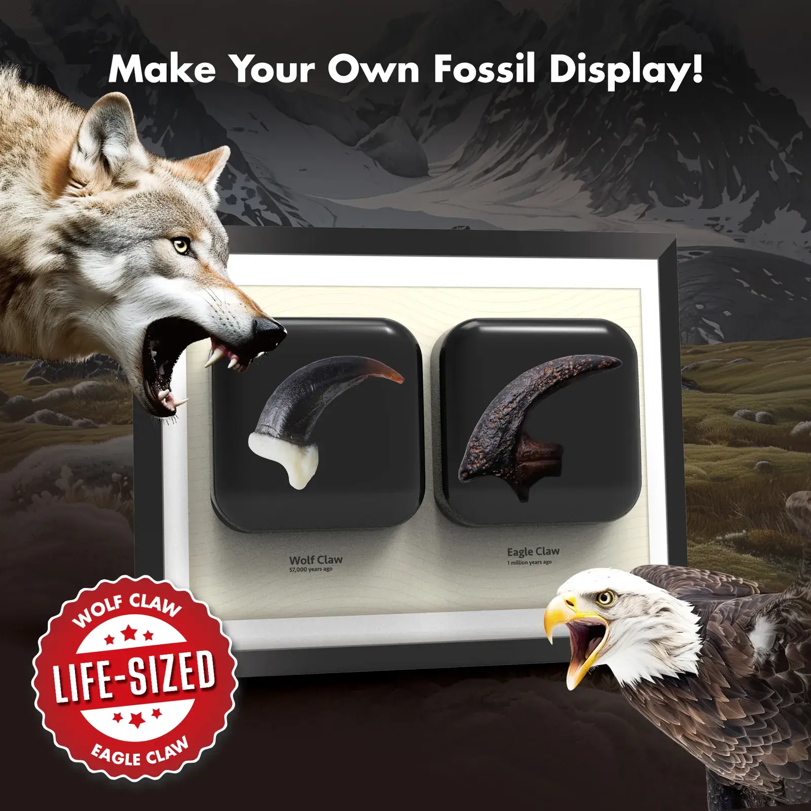 Beast Fossil Dig Kit - Excavate 2 Life-Sized Eagle & Wolf Claw Fossils, Kids STEM Toy - Image 4
