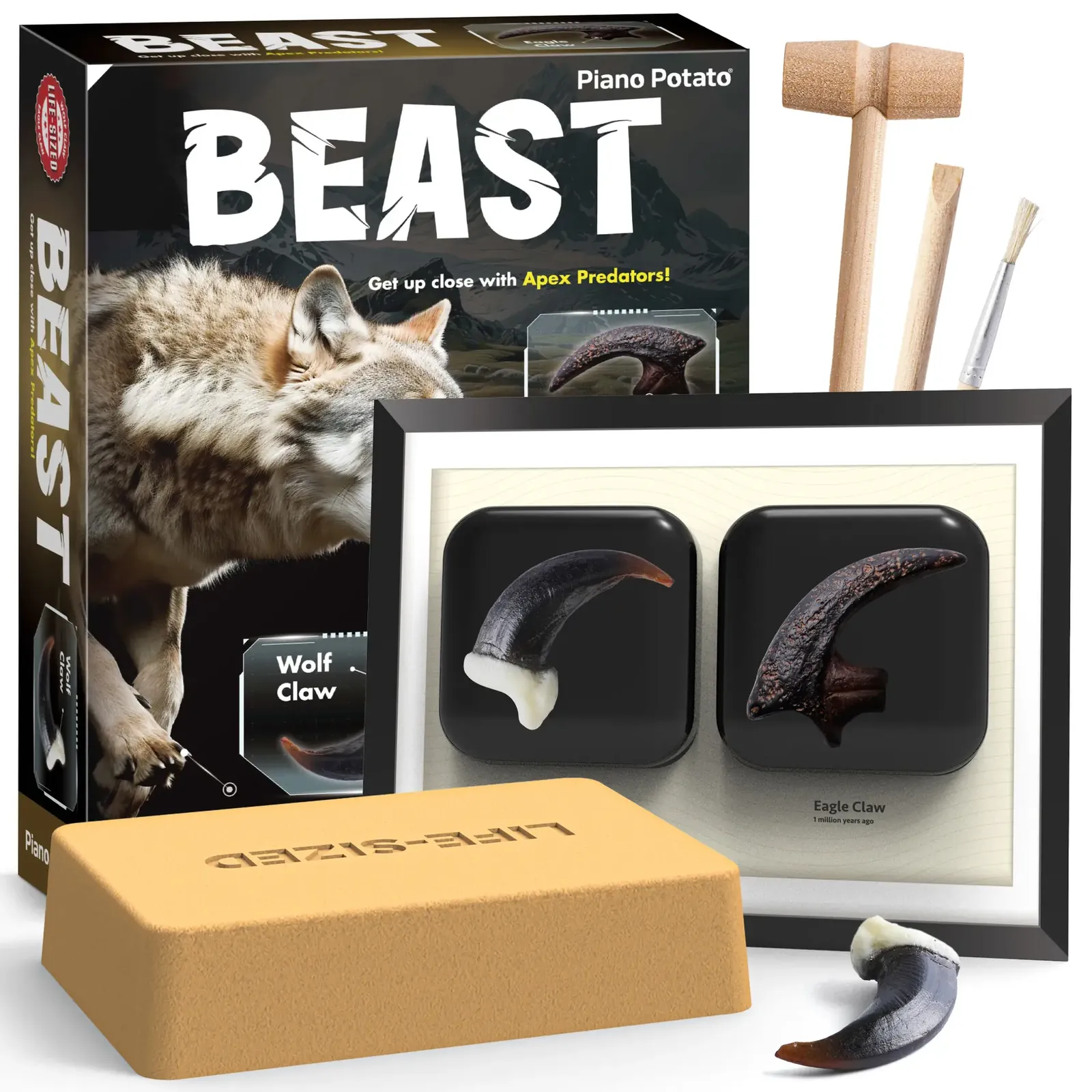 Beast Fossil Dig Kit - Excavate 2 Life-Sized Eagle & Wolf Claw Fossils, Kids STEM Toy