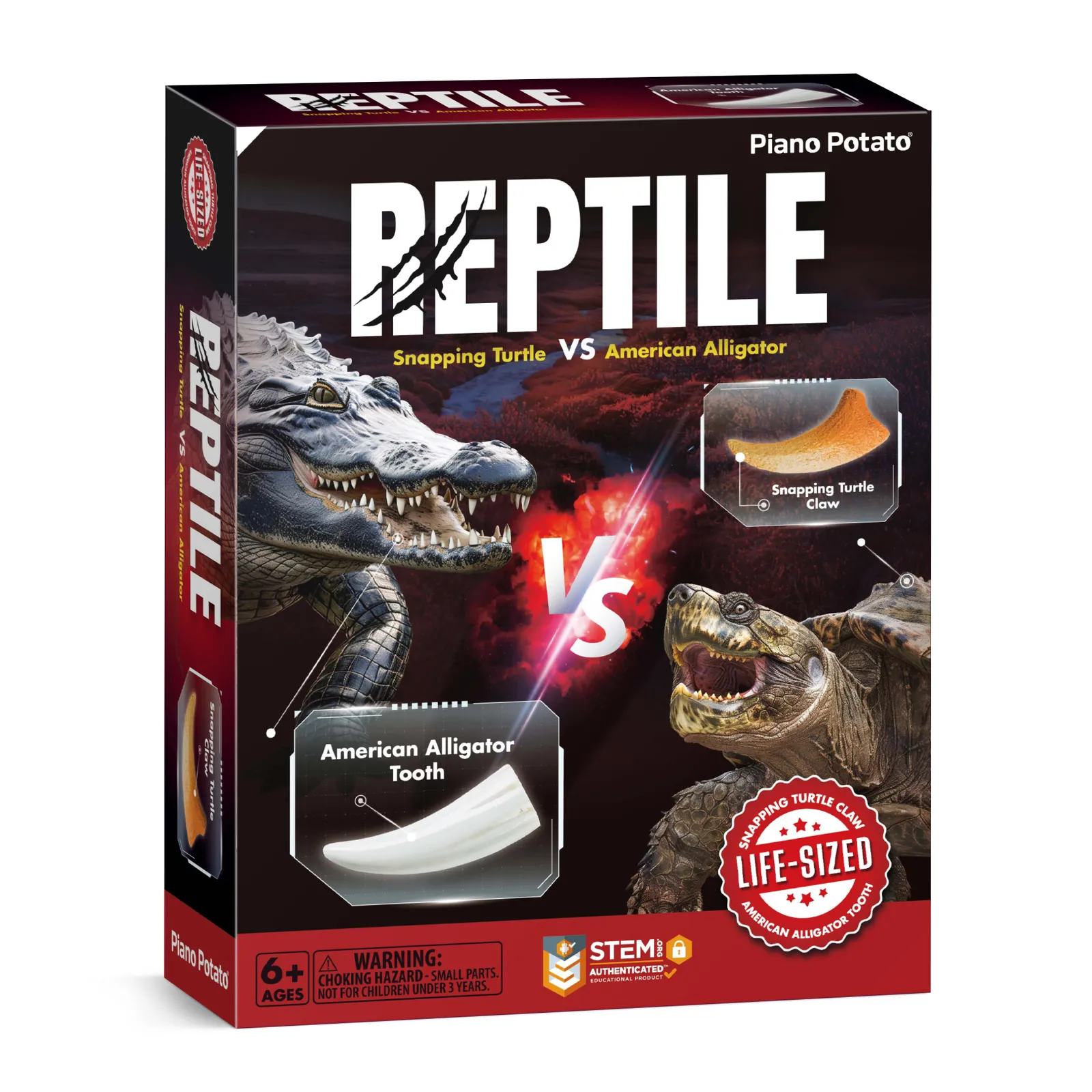 Reptile Fossil Dig Kit – Excavate Life-Sized Snapping Turtle Claw & American Alligator Tooth - Image 2