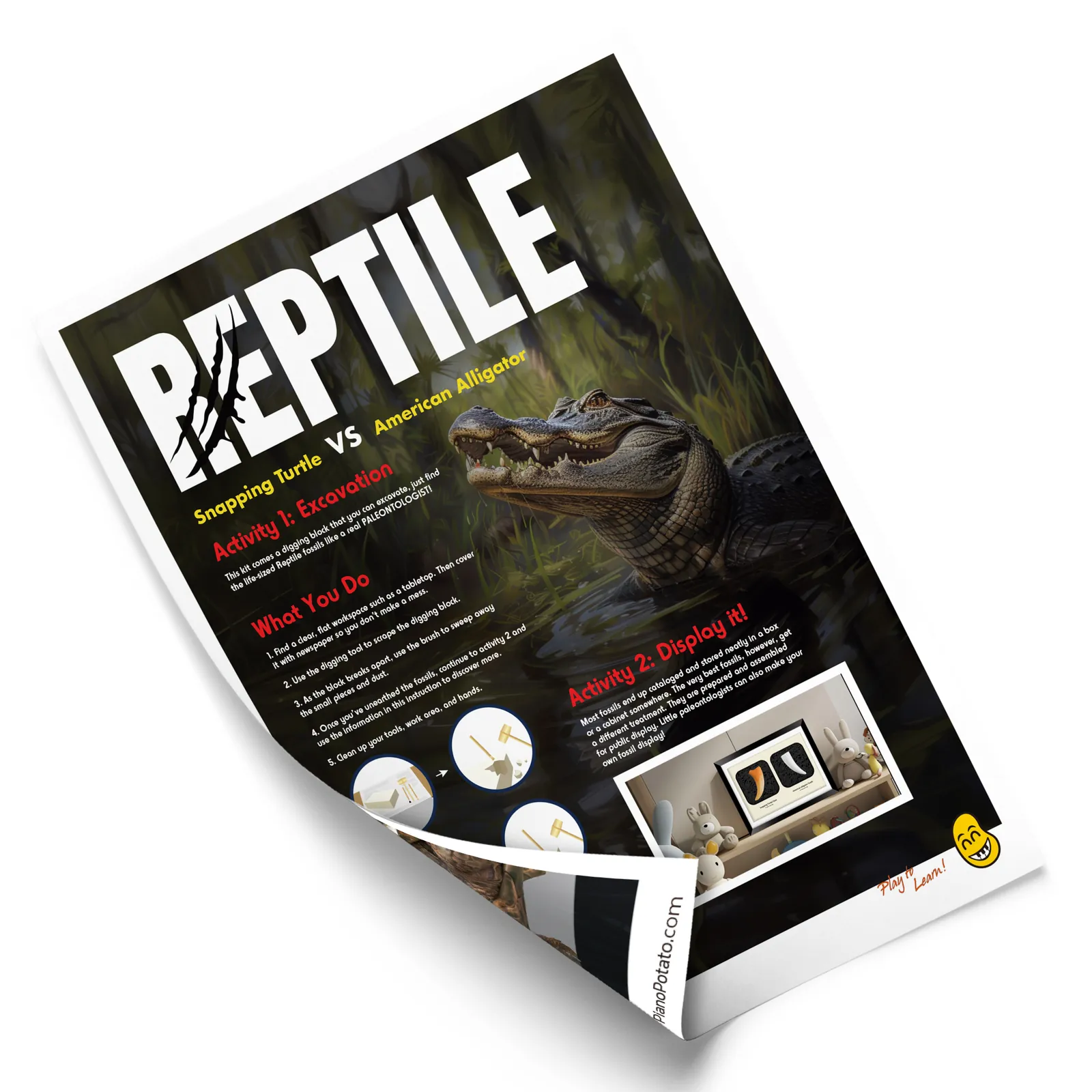 Reptile Fossil Dig Kit – Excavate Life-Sized Snapping Turtle Claw & American Alligator Tooth - Image 6