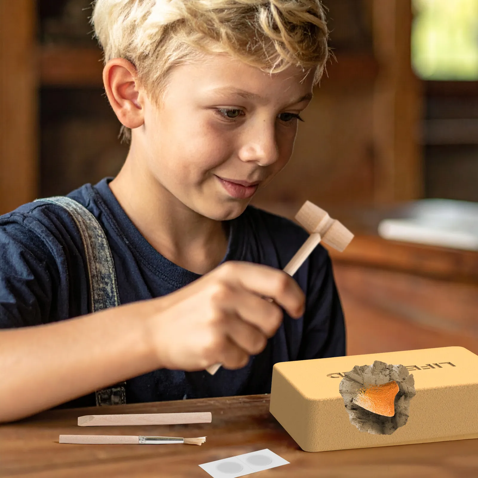 Reptile Fossil Dig Kit – Excavate Life-Sized Snapping Turtle Claw & American Alligator Tooth - Image 8