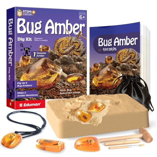 Amber Dig Kit - 6 Artificial Insect Resin Specimens, Bugs Fossil Excavation Set with Natural Amber