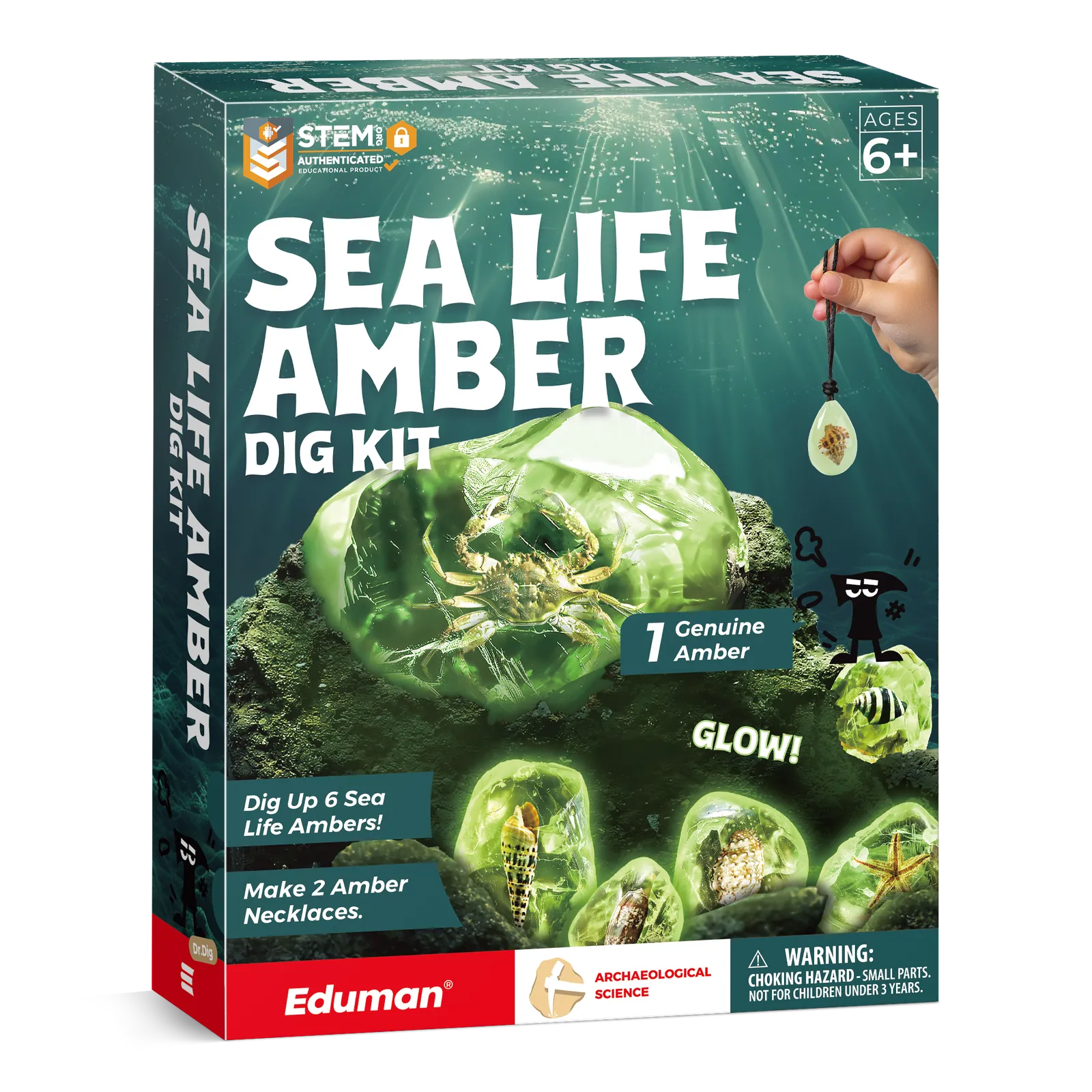 Amber Dig Kit with 6 Glow Sea Life Resin Fossils + Natural Amber, Excavation Set for Ages 6 to 12 - Image 3