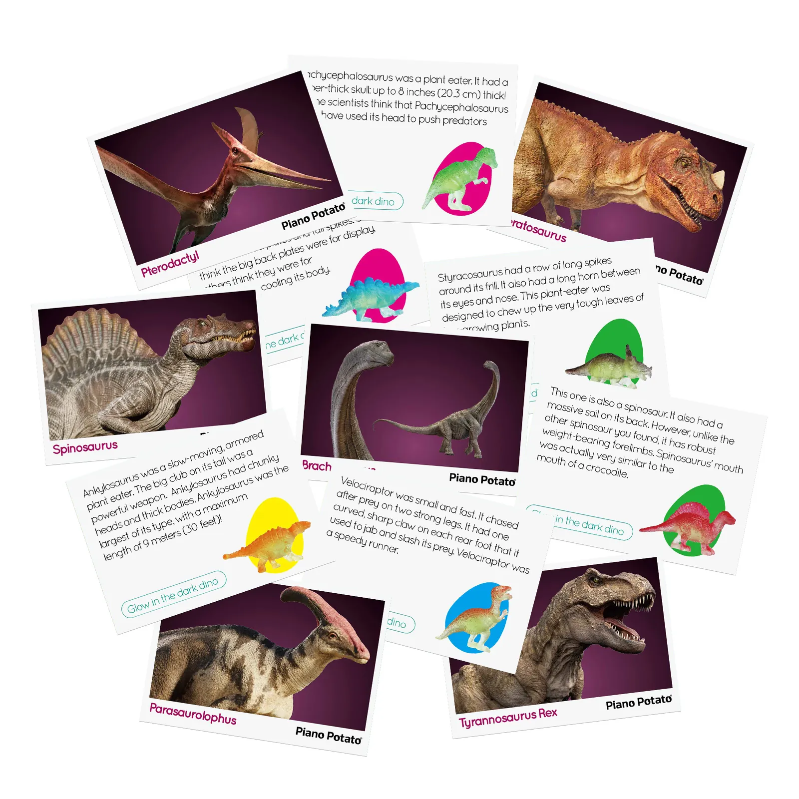 Sensory Dino Egg Kit - 12 Glow-in-the-Dark Dinosaurs, 4 Sensory Play Modes & Fact Cards - Image 6