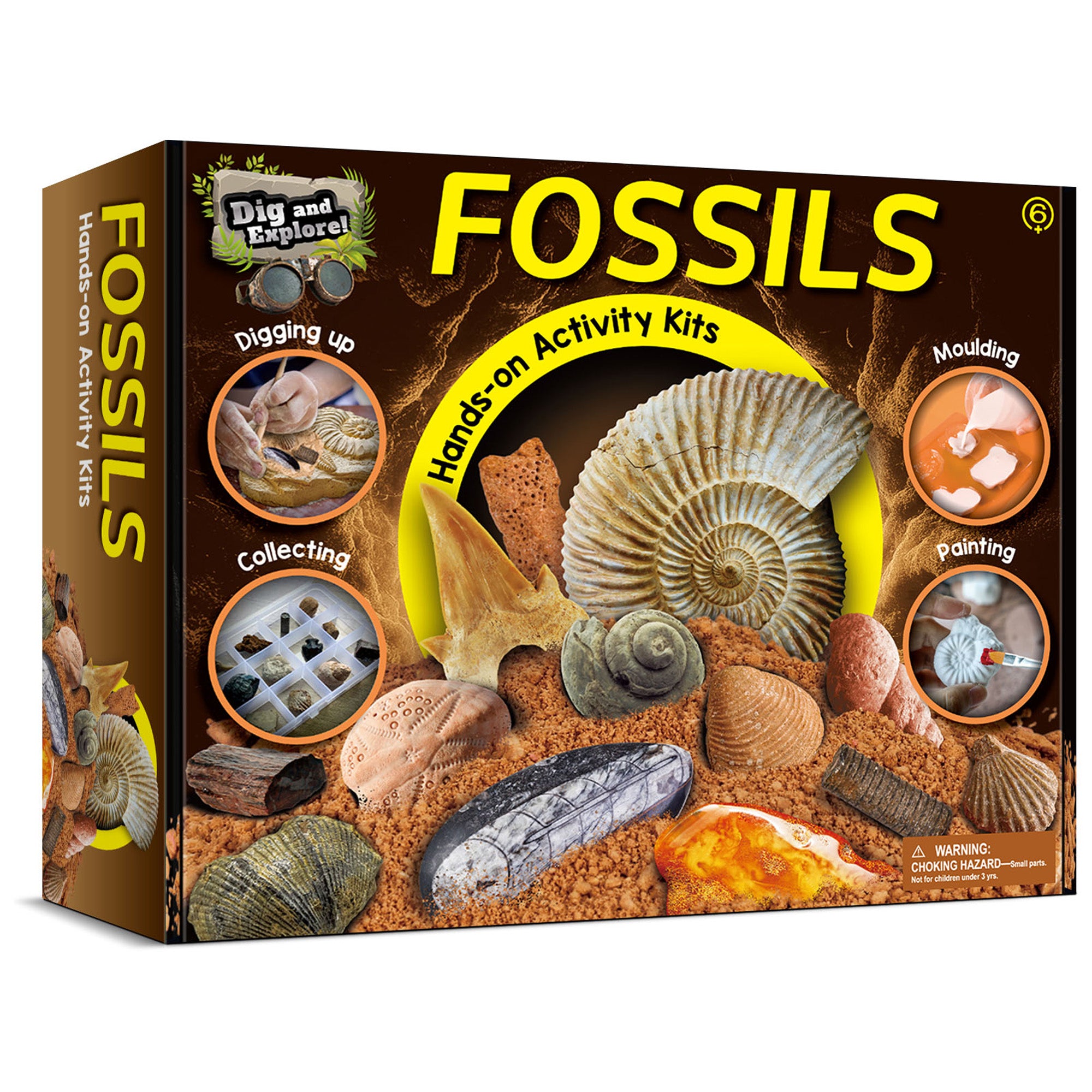 Fossils Hands-On Activity Kit – Dig, Collect, Mold & Paint
