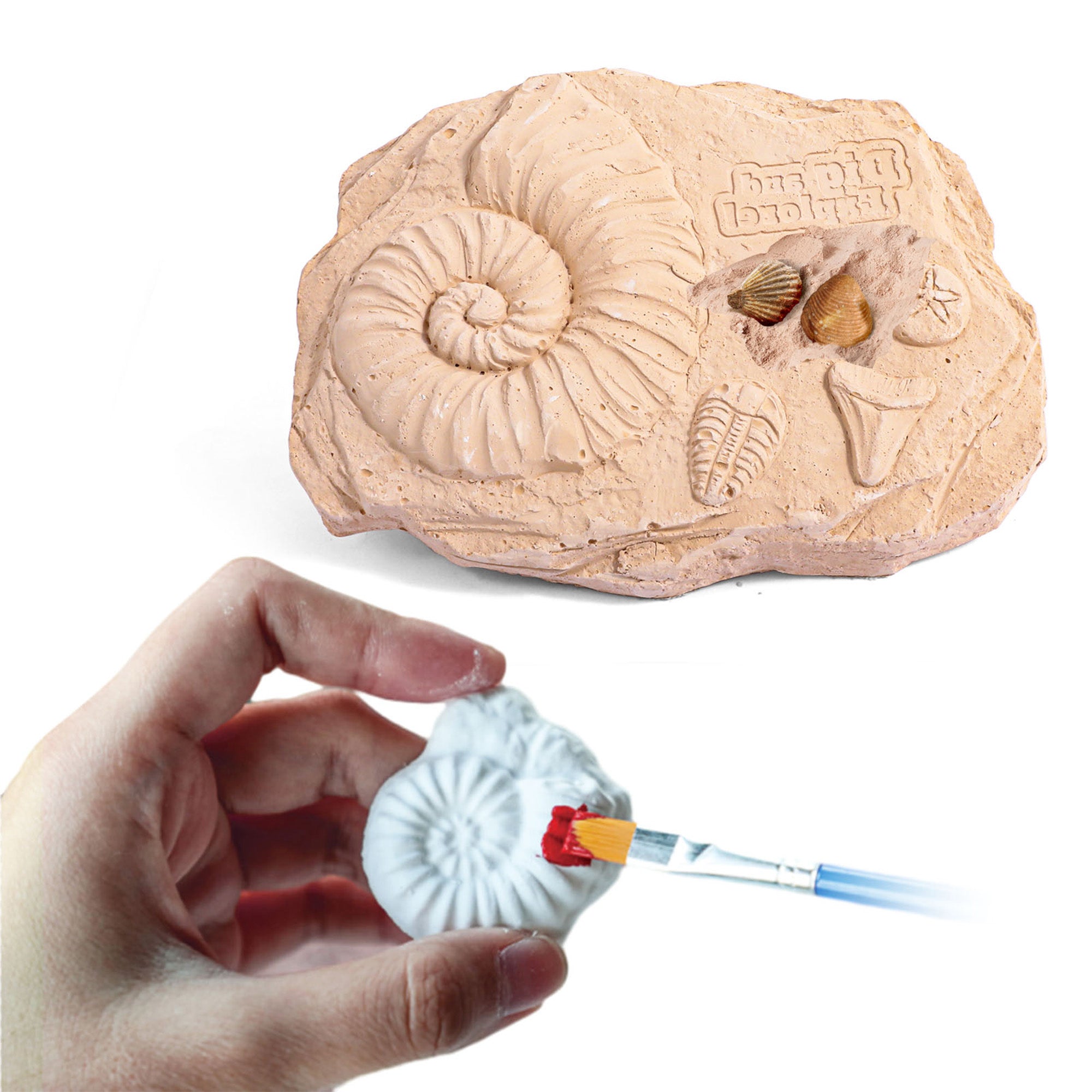 Fossils Hands-On Activity Kit – Dig, Collect, Mold & Paint - Image 2