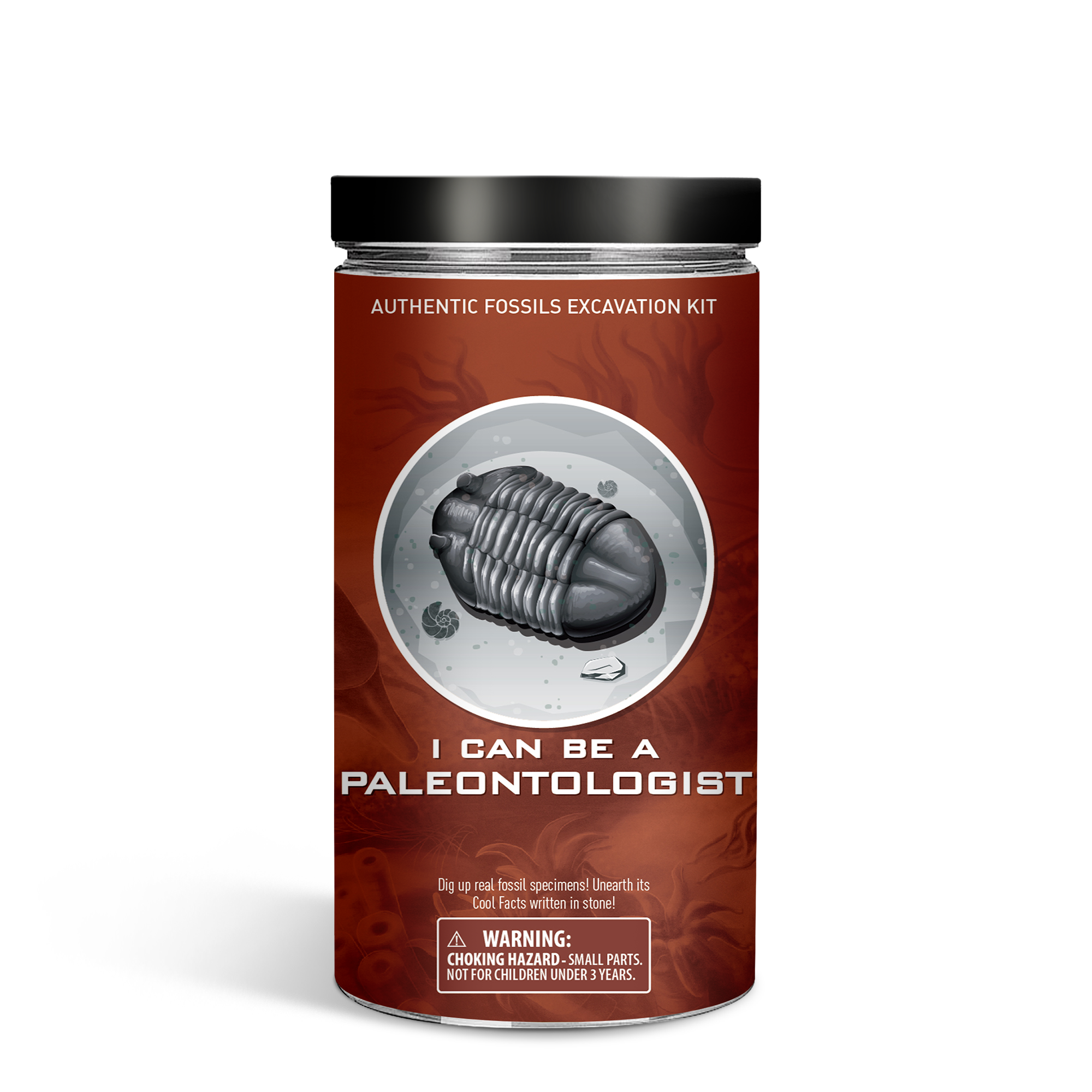 Piano Potato I Can Be a Paleontologist – Authentic Fossils Excavation Kit
