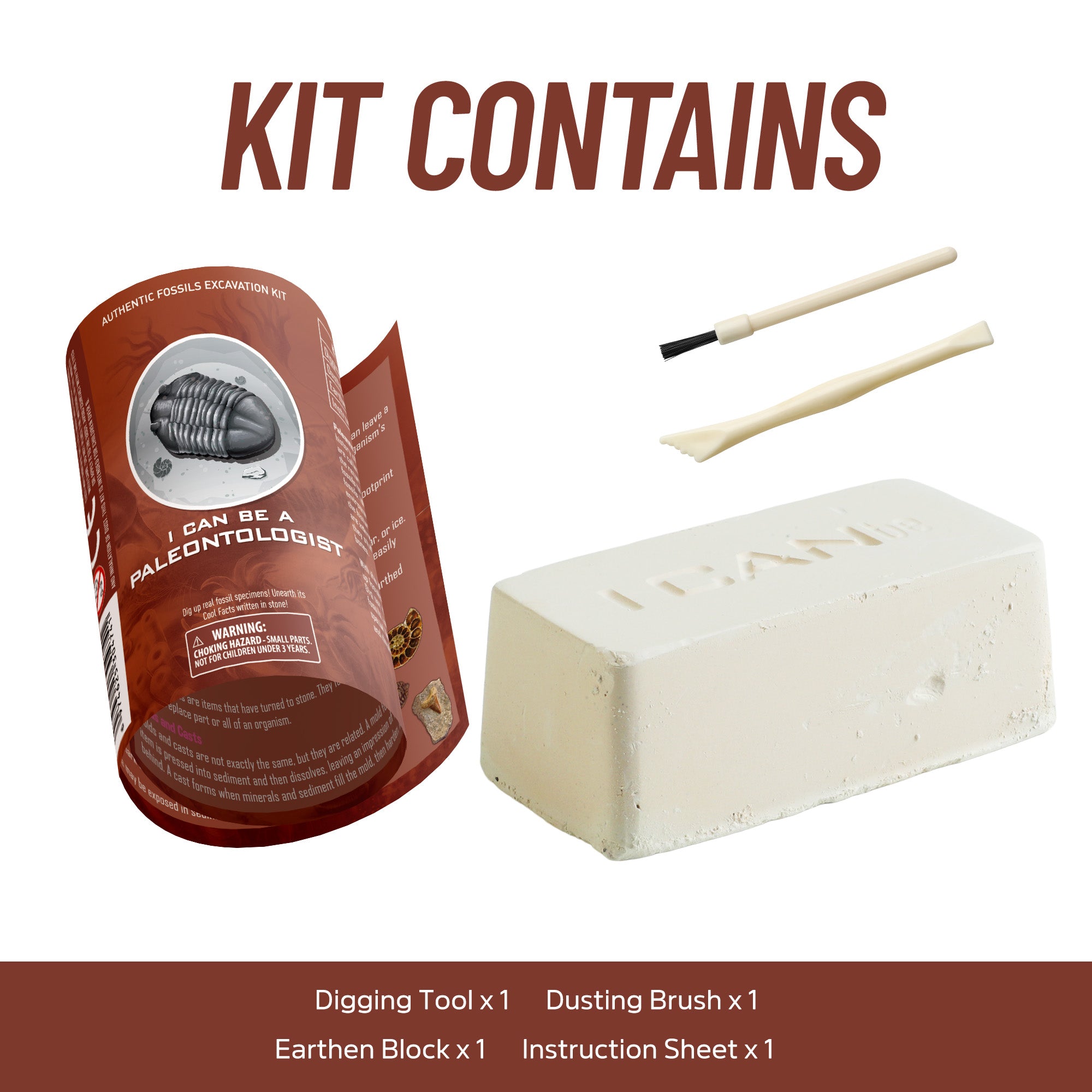 Piano Potato I Can Be a Paleontologist – Authentic Fossils Excavation Kit - Image 4