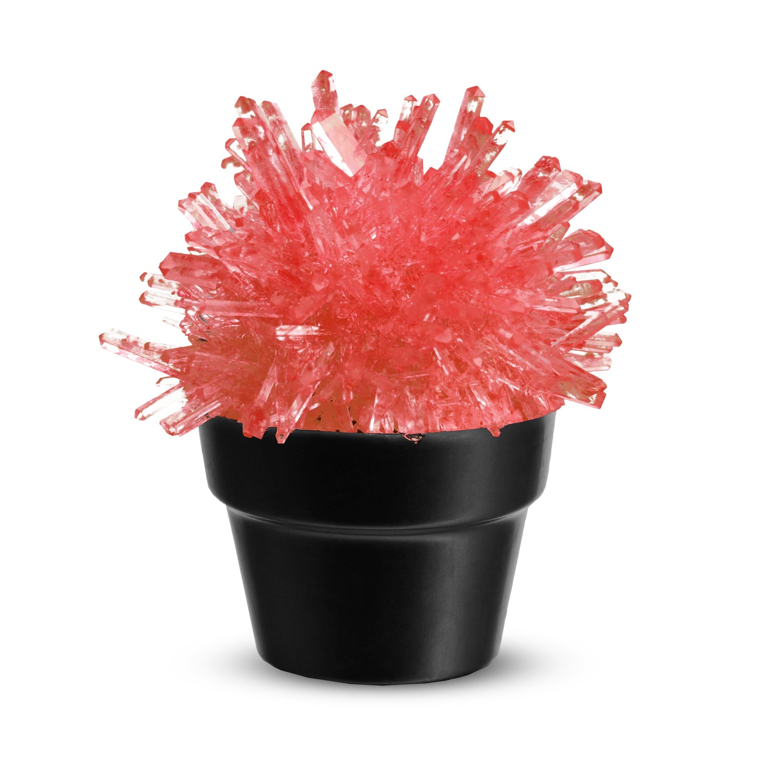 Piano Potato Crystal Cactus Growing Kit – Red Crystals, Ages 8+ - Image 2