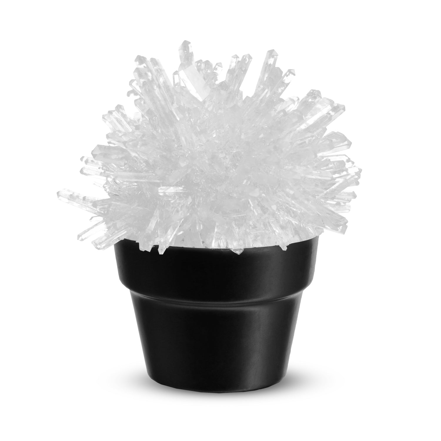 Piano Potato Crystal Cactus Growing Kit – Clear Crystals, Ages 8+ - Image 2
