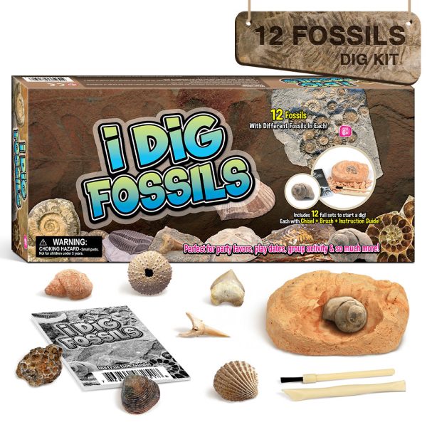 Gamerside Fossil Digging Kit, 12 Real Fossils & Dino Bones & Mess-Free Mat