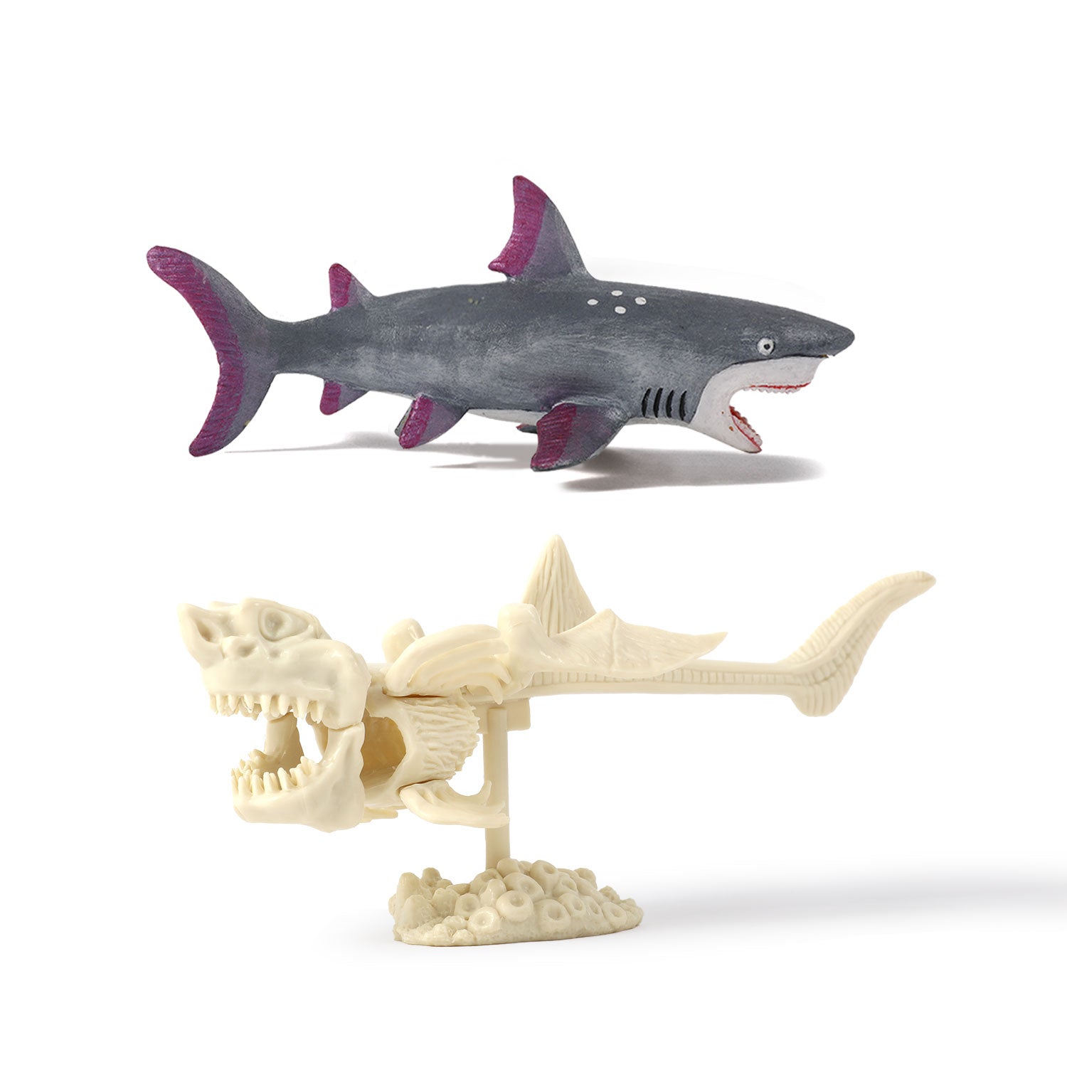 Shark Attack Megalodon Dig & Build Activity Kit - Image 4