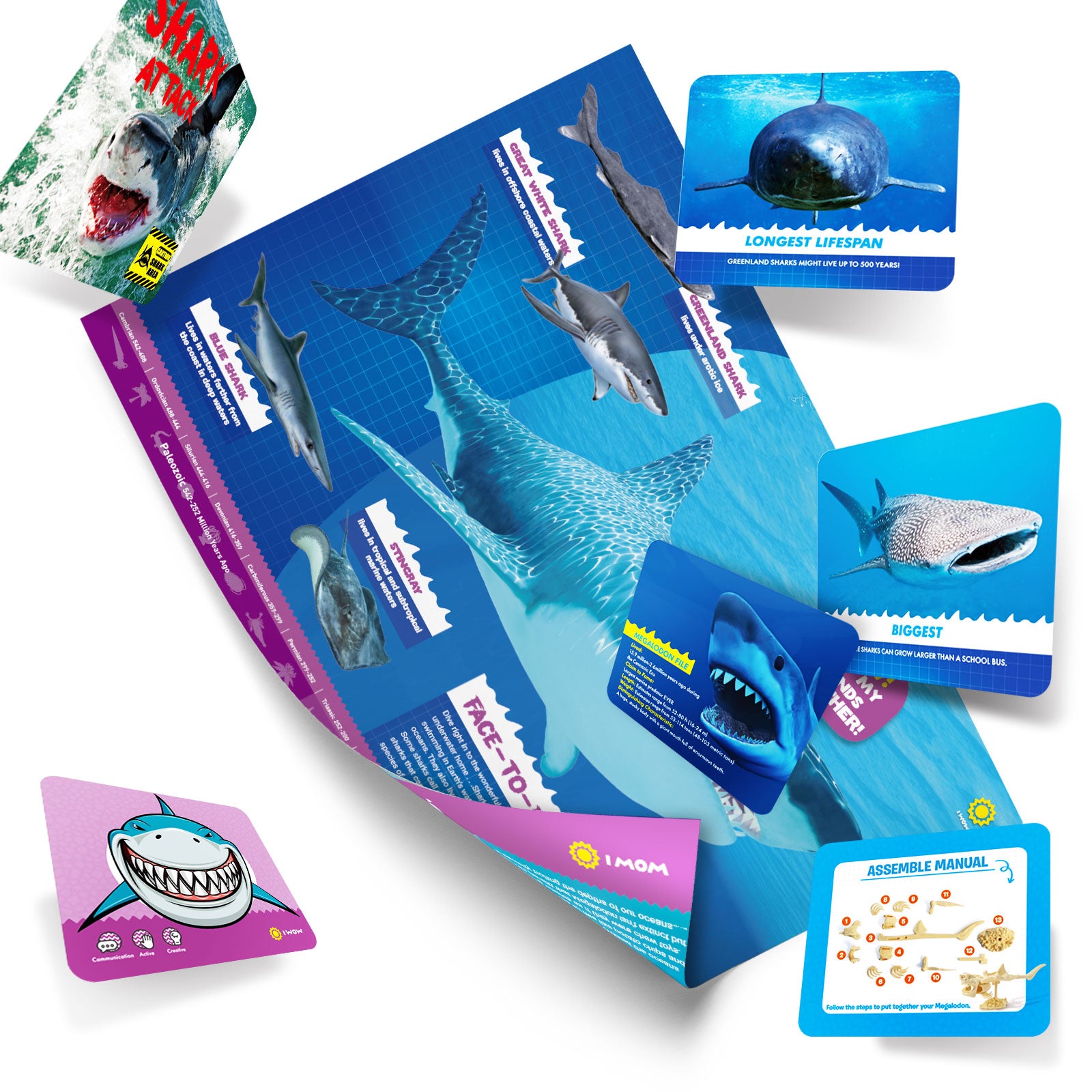 Shark Attack Megalodon Dig & Build Activity Kit - Image 5