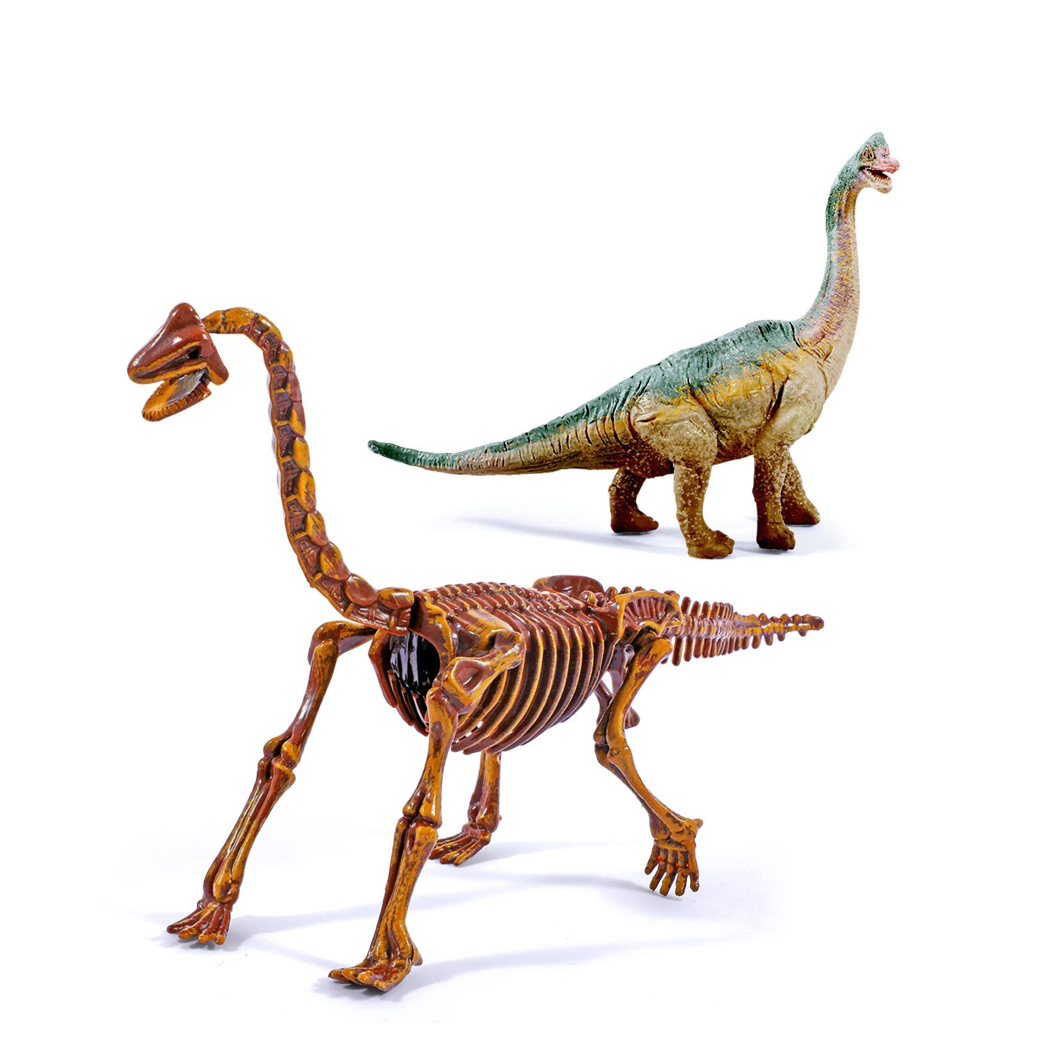 Piano Potato Brachiosaurus Dinosaur Dig & Paint Kit – 2-in-1 Excavation Activity - Image 4