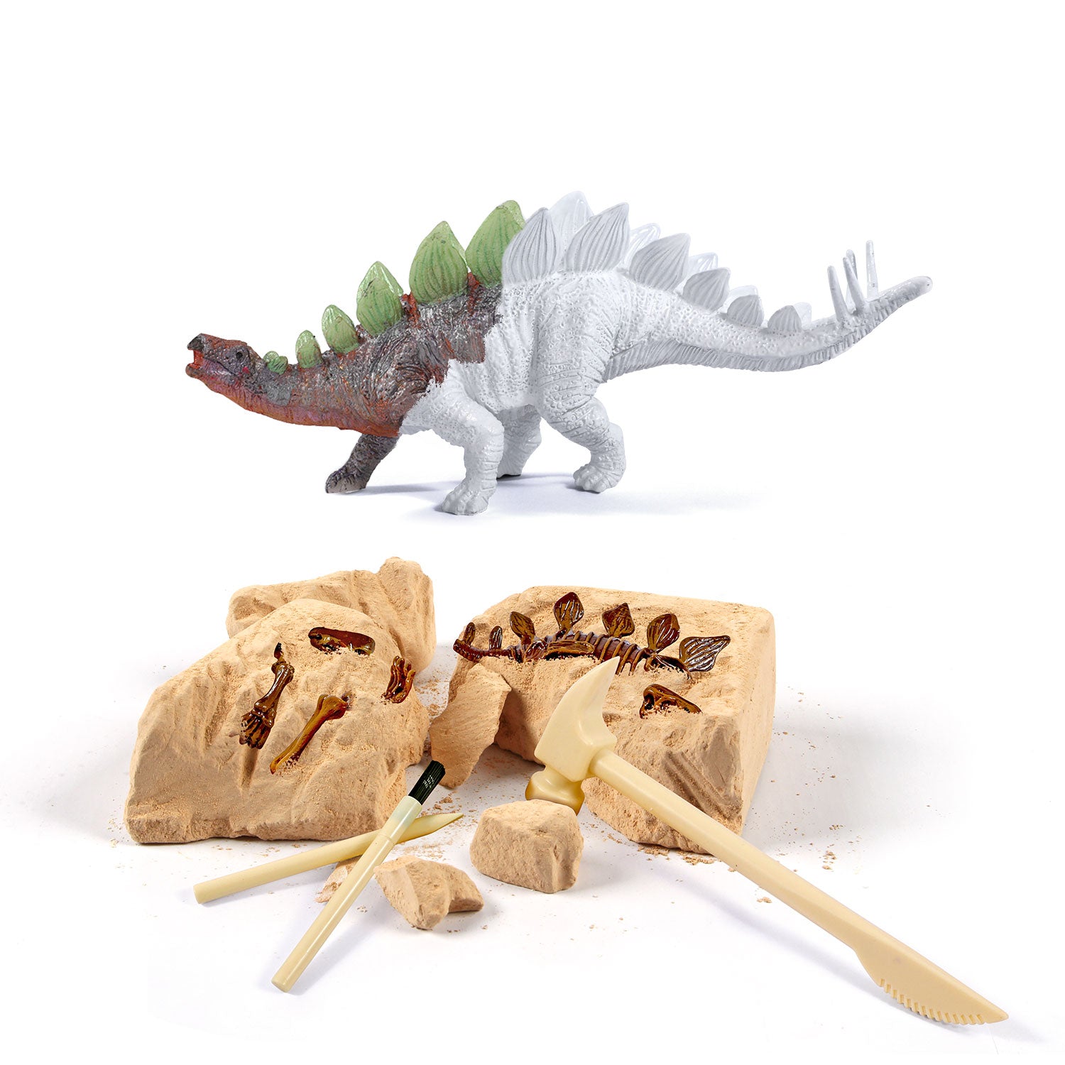 Piano Potato Stegosaurus Dinosaur Dig & Paint Kit – 2-in-1 Excavation Activity - Image 3