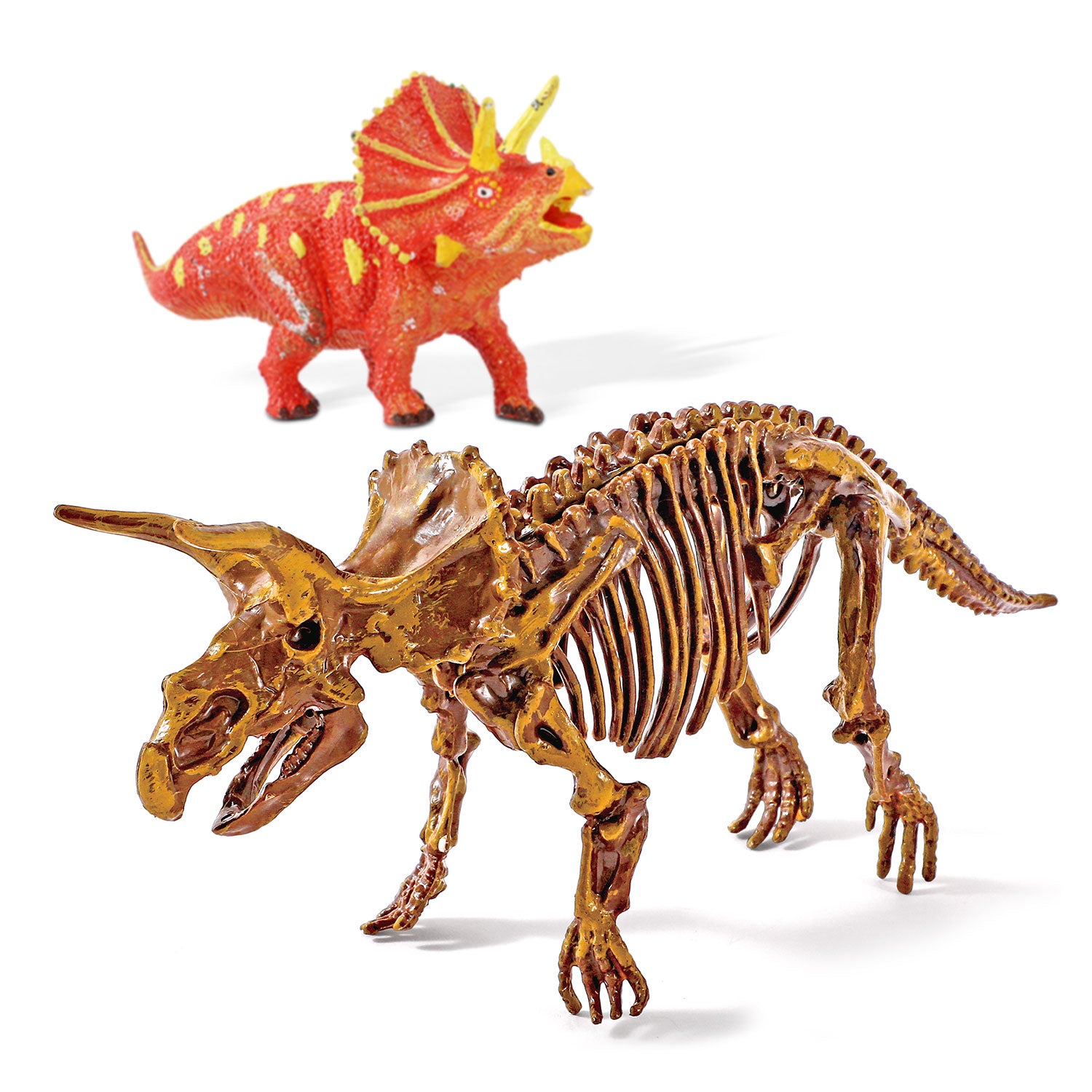 Dinosaur Triceratops Fossil Digging Kit for Kids 6+, 2-in-1 Dig & Build Educational Toy, Excavation Adventure with Paintable Model, Complete Paleontology Gift Set - Image 4