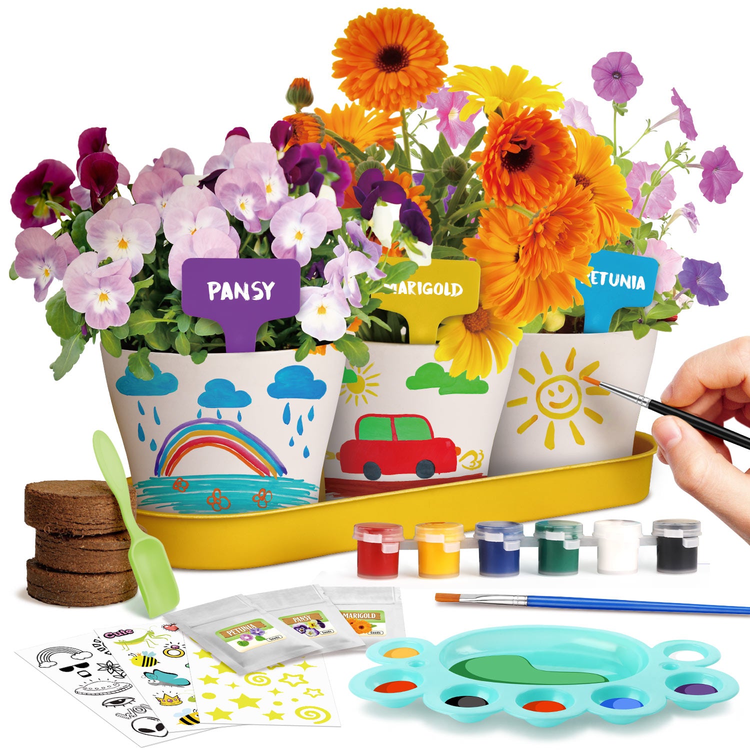 Piano Potato Paint & Plant Flower Growing Kit for Kids – DIY Garden Craft Set - Image 11