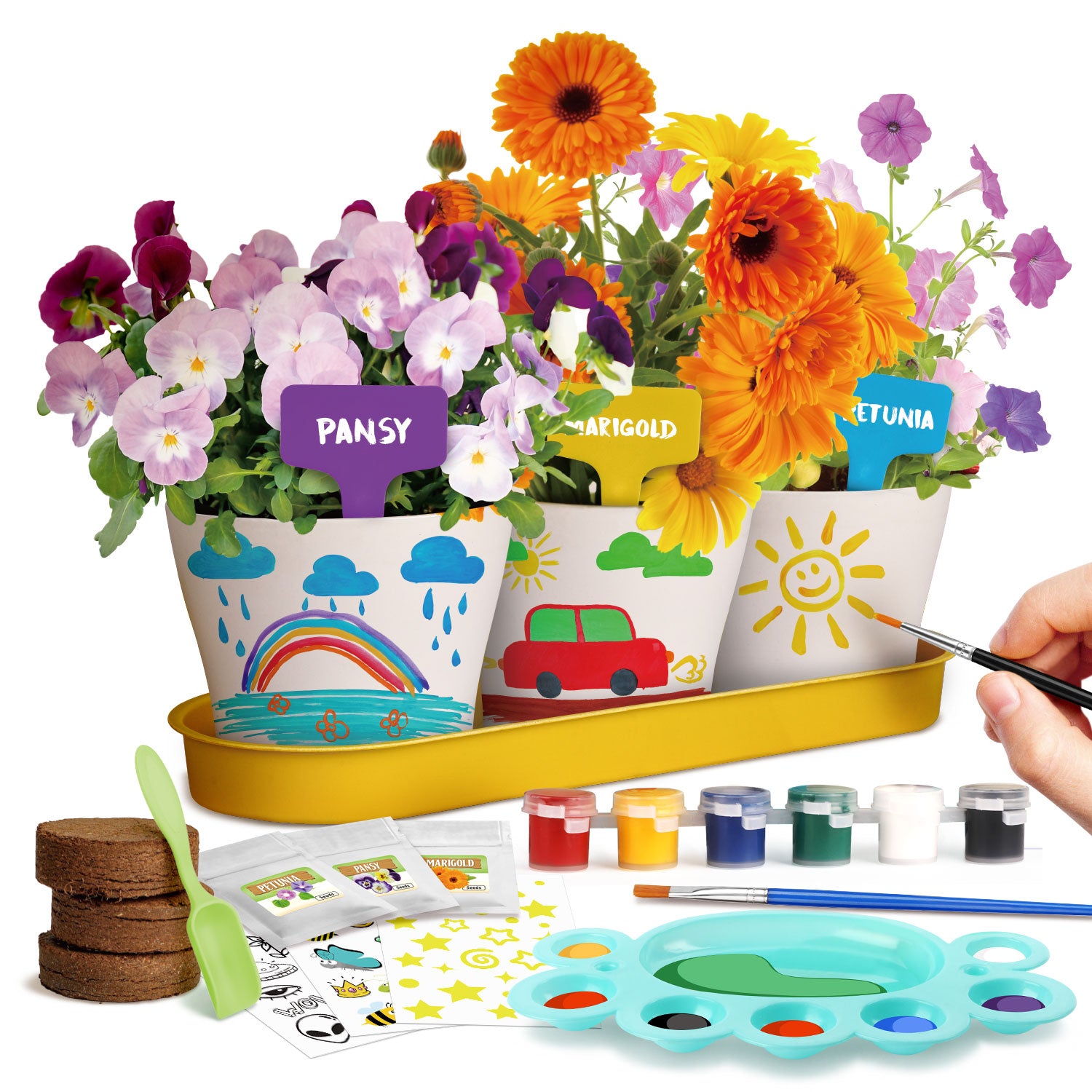 Piano Potato Paint & Plant Flower Growing Kit for Kids – DIY Garden Craft Set - Image 12