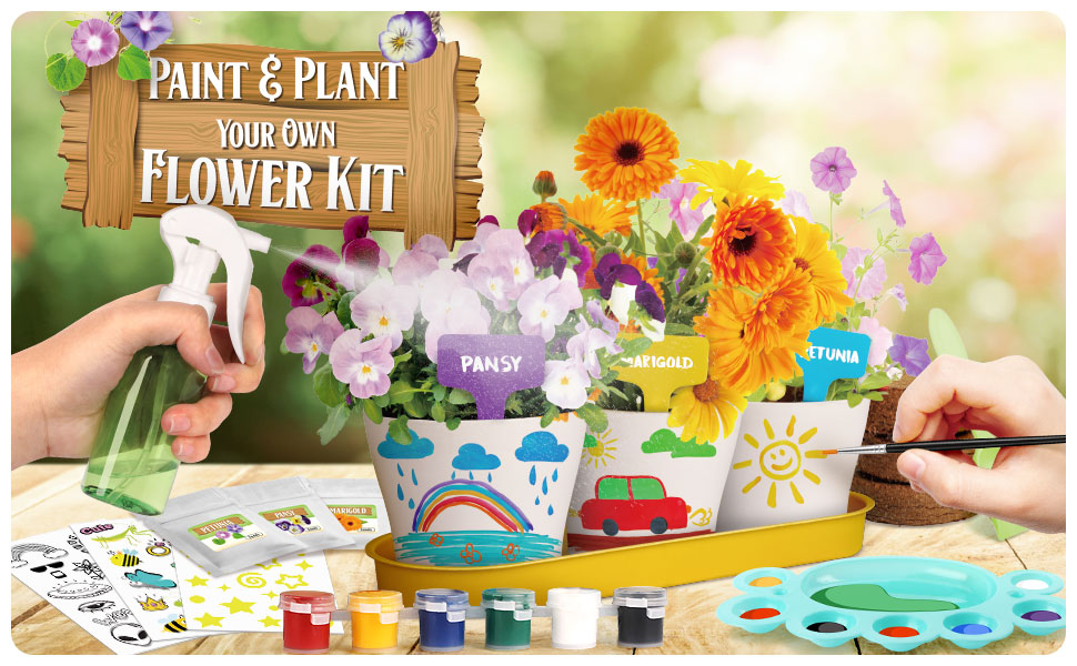 Piano Potato Paint & Plant Flower Growing Kit for Kids – DIY Garden Craft Set - Image 13