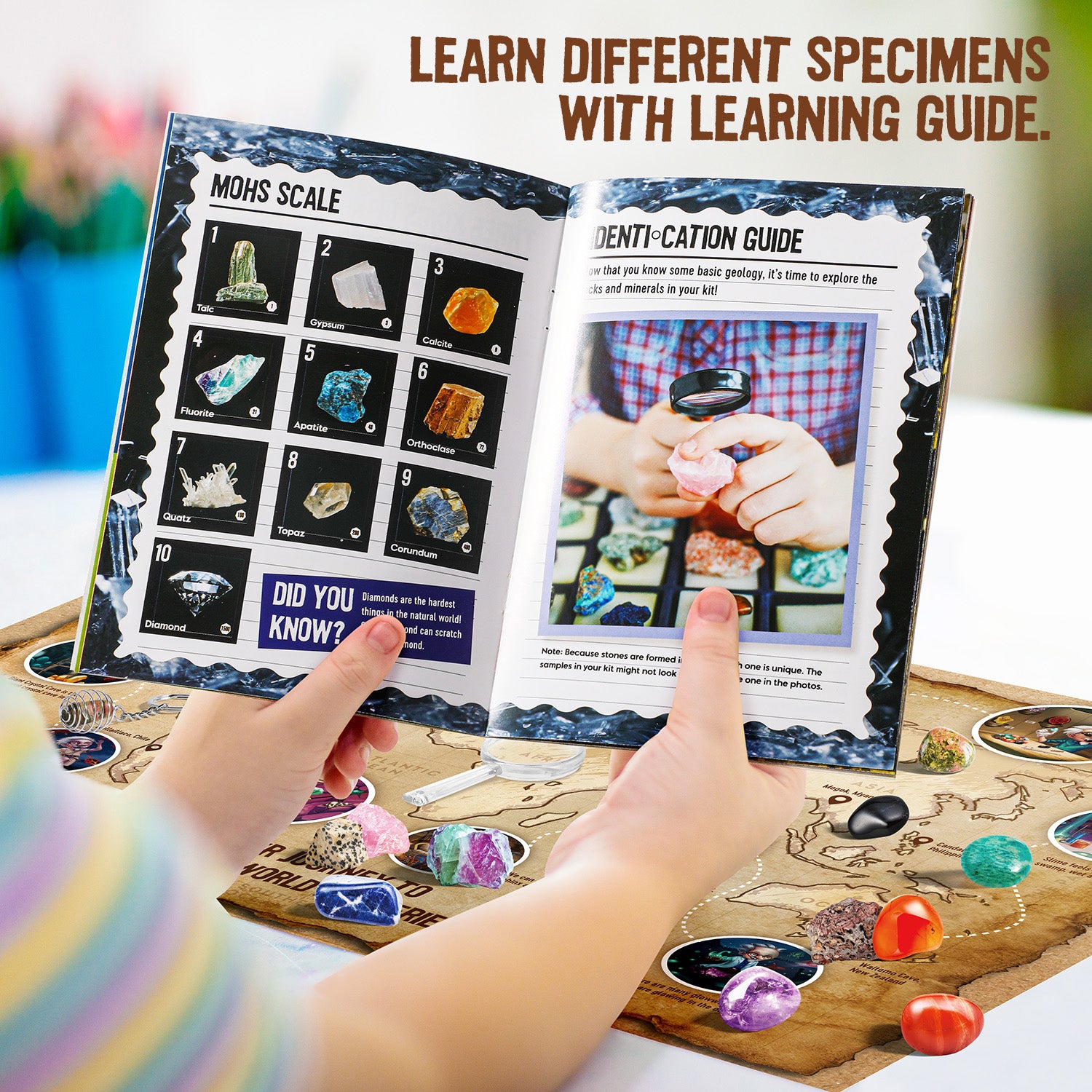 Awesome Rocks Collection Kit – 15 Rocks & Minerals with Display Tray - Image 6