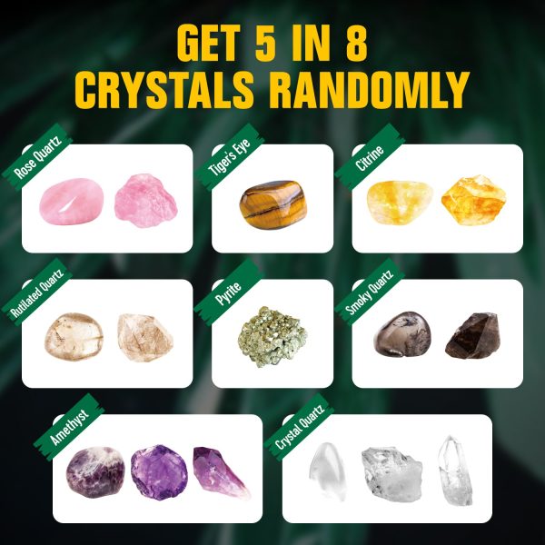 Crystal Dig Kit – 8-Crystal Discovery Excavation Set