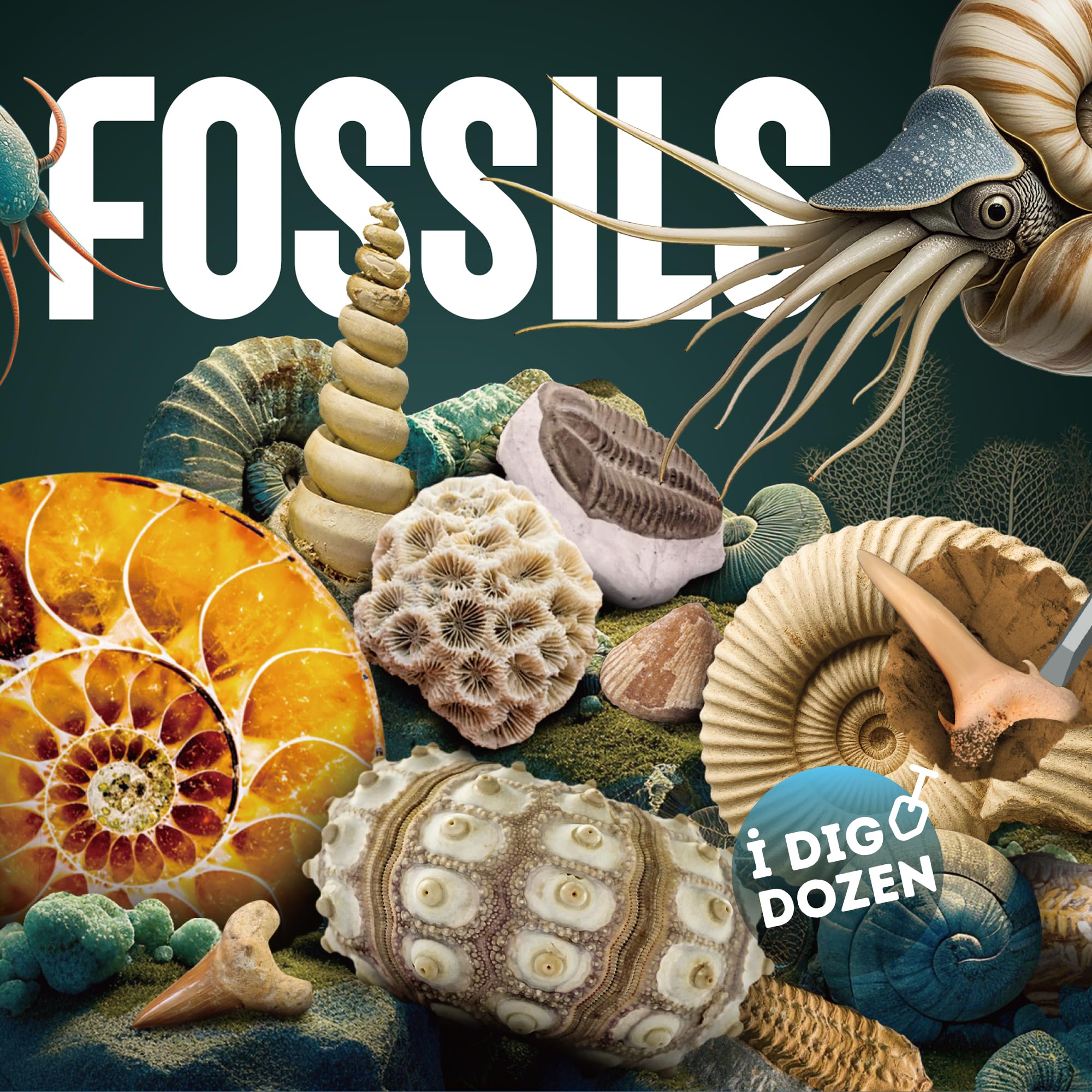 Fossil Dig Kit, 12 Fossils with Zero-Mess Mat, STEM Toy 6-12 - Image 2