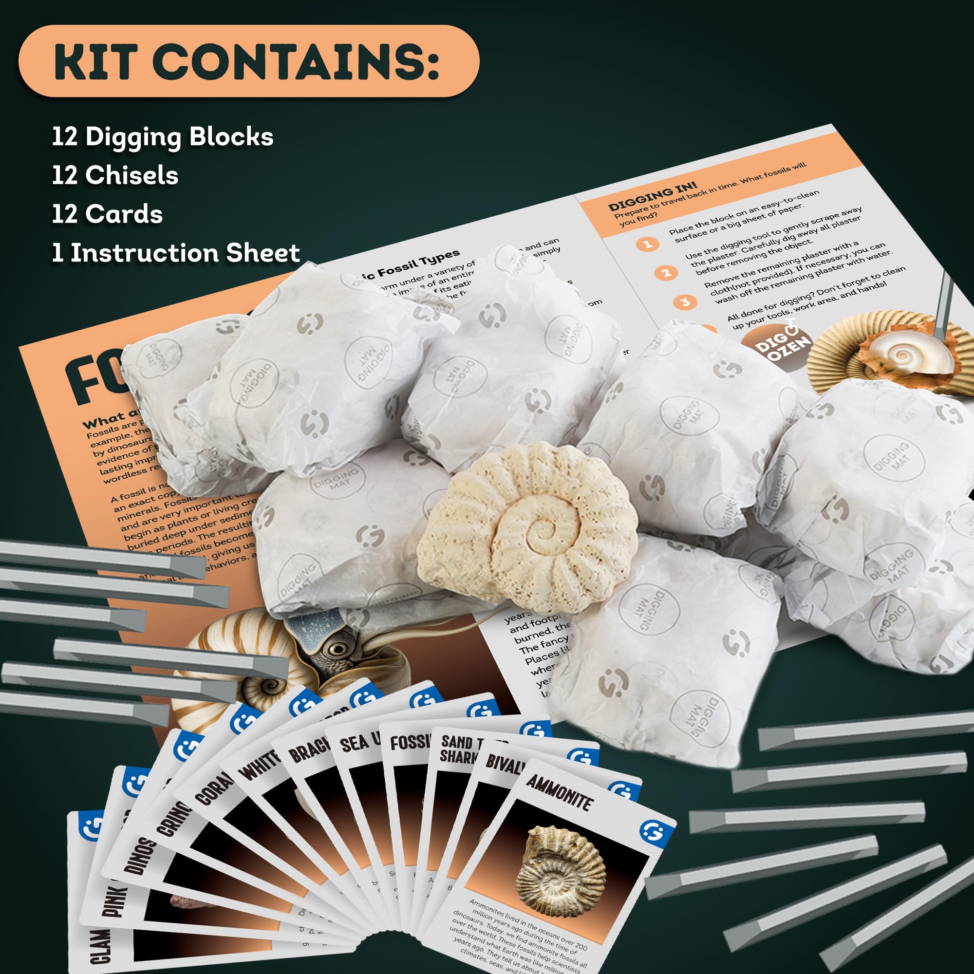 Fossil Dig Kit, 12 Fossils with Zero-Mess Mat, STEM Toy 6-12 - Image 3